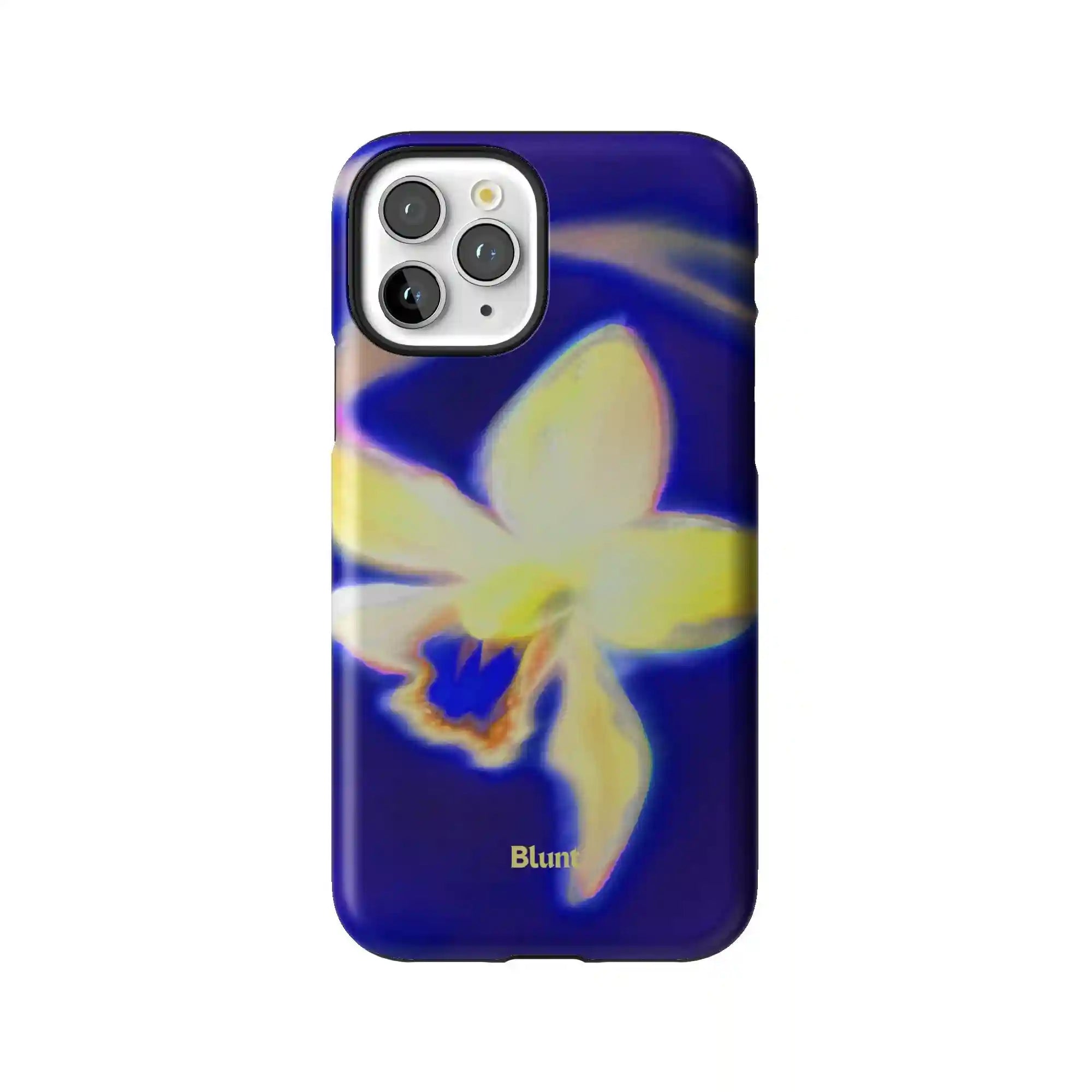 bluntcasesus.it.com