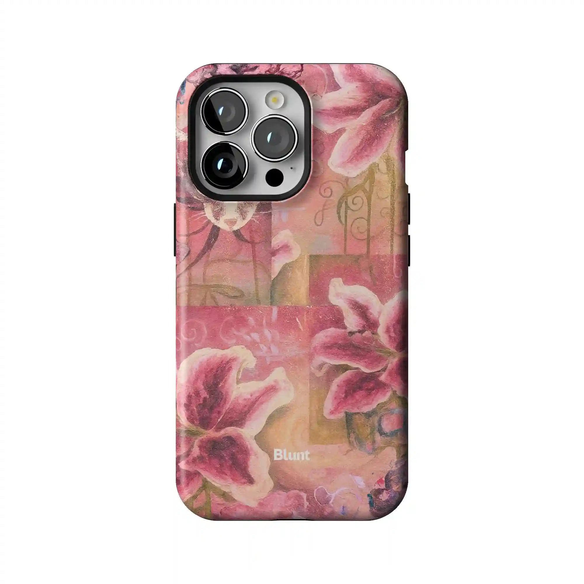 bluntcasesus.it.com