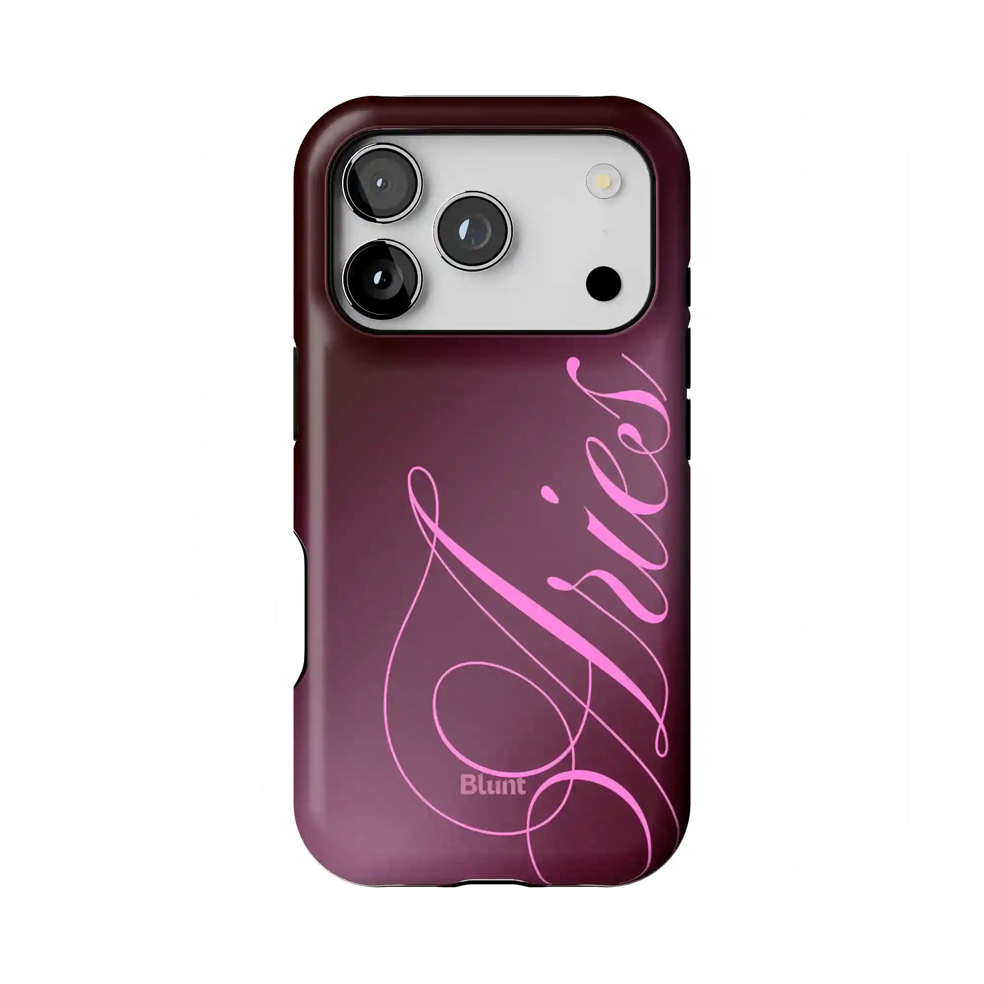 bluntcasesus.it.com