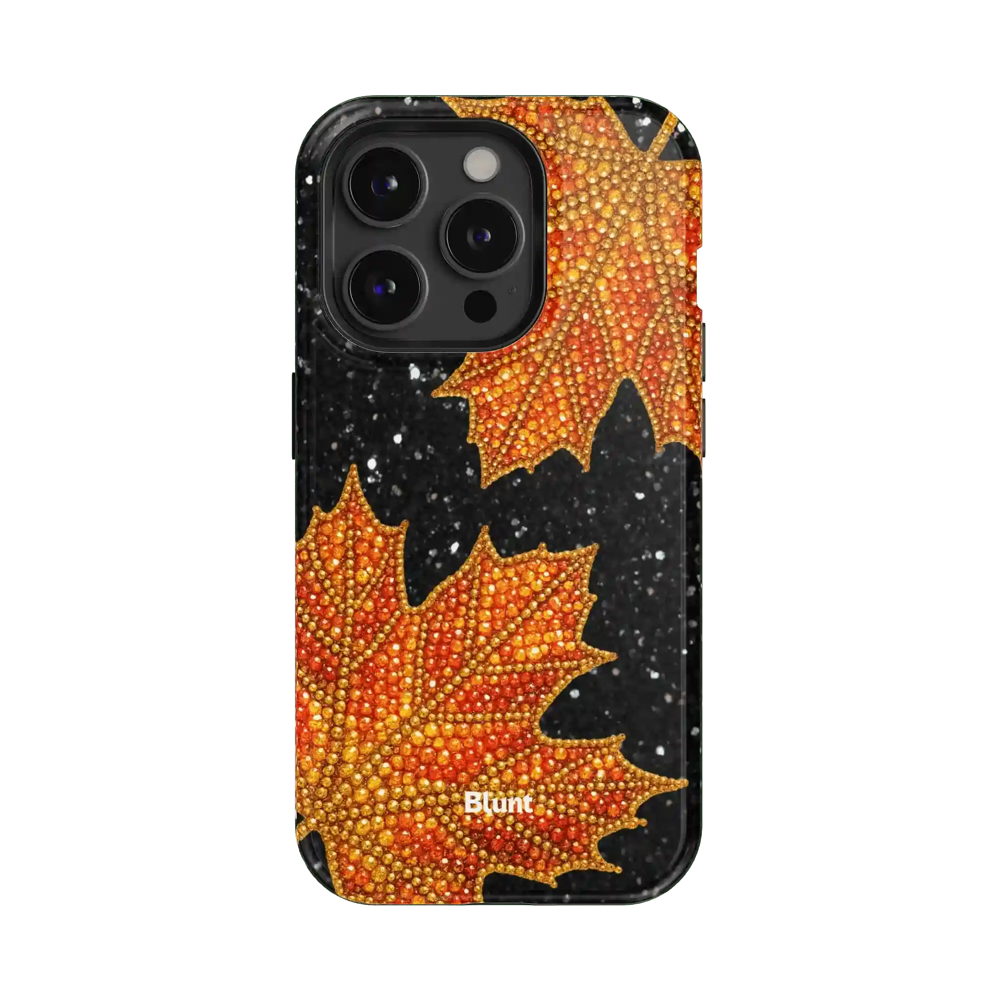 bluntcasesus.it.com