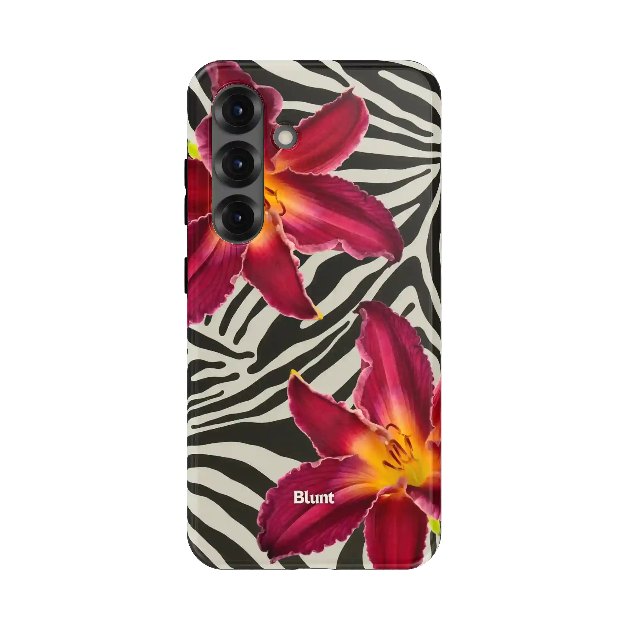 bluntcasesus.it.com