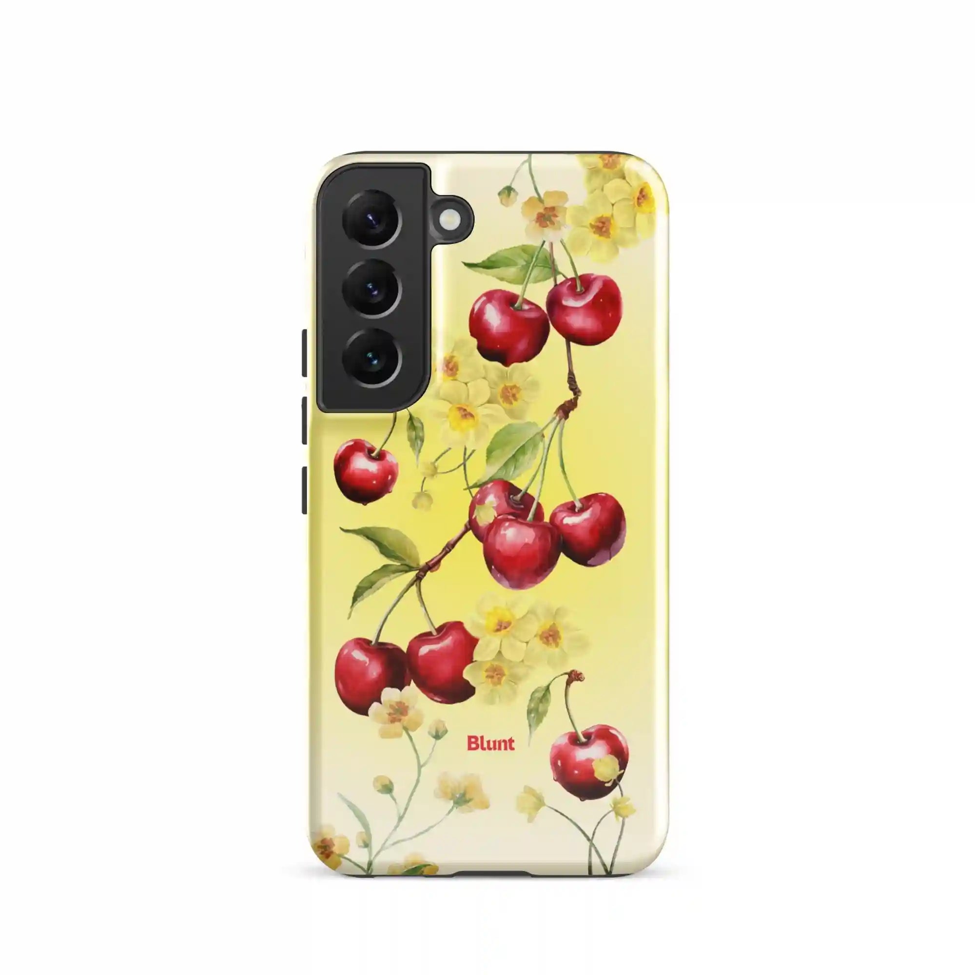 bluntcasesus.it.com