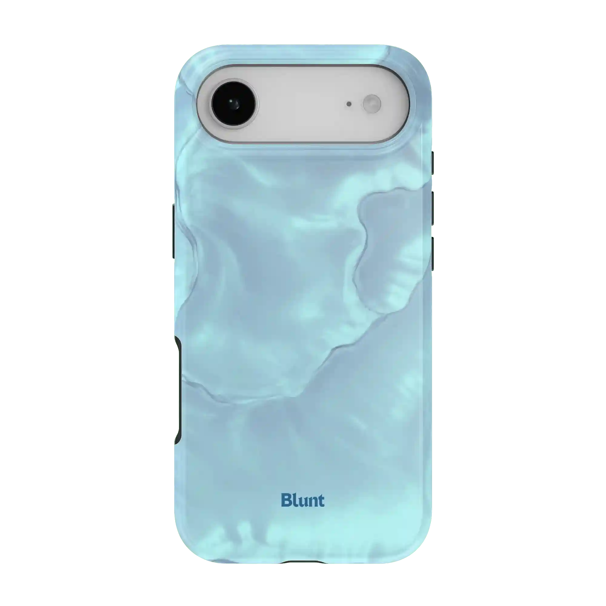 bluntcasesus.it.com