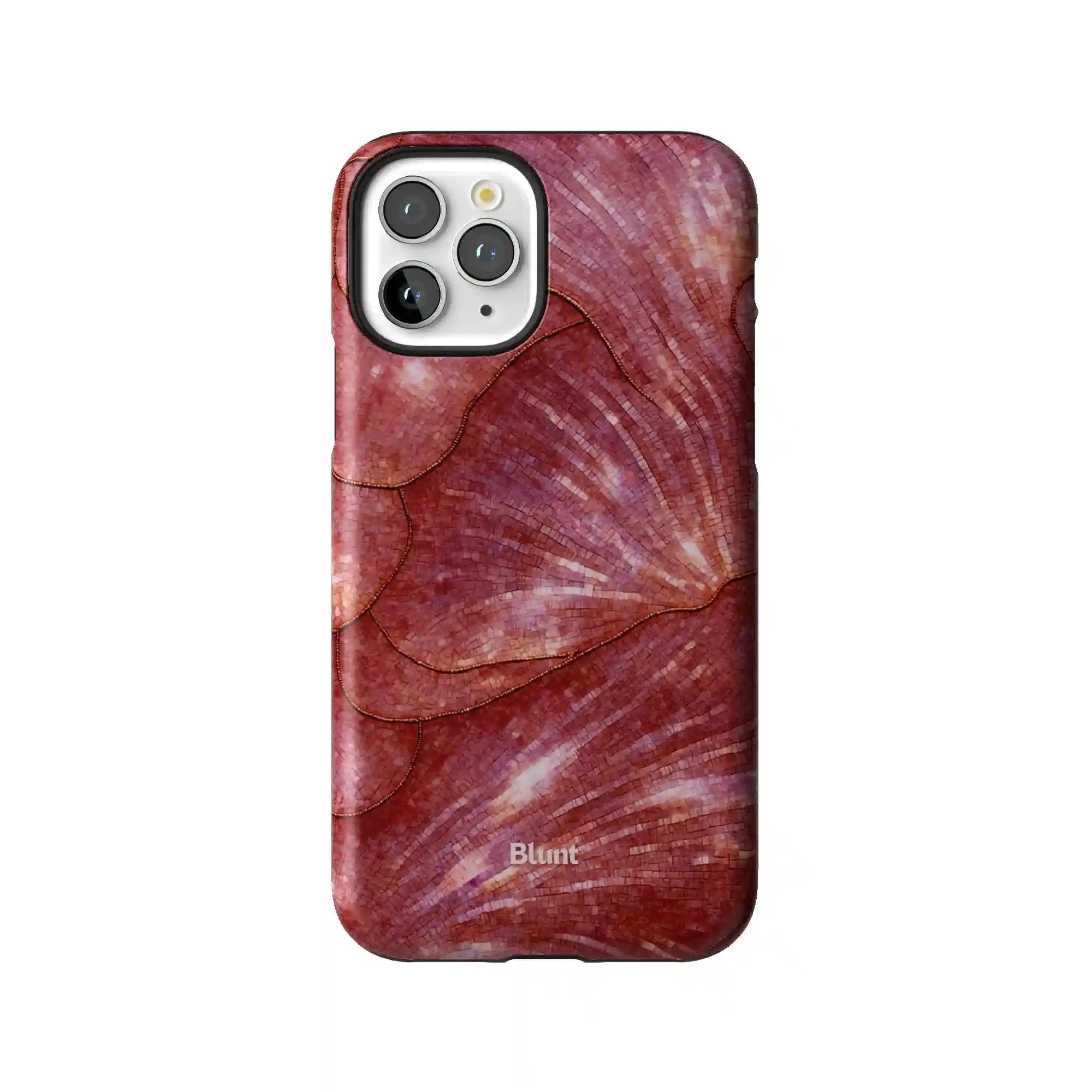 bluntcasesus.it.com