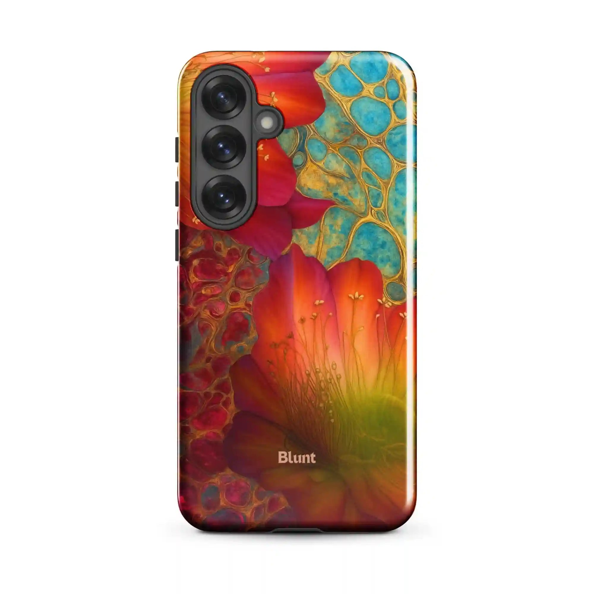 bluntcasesus.it.com