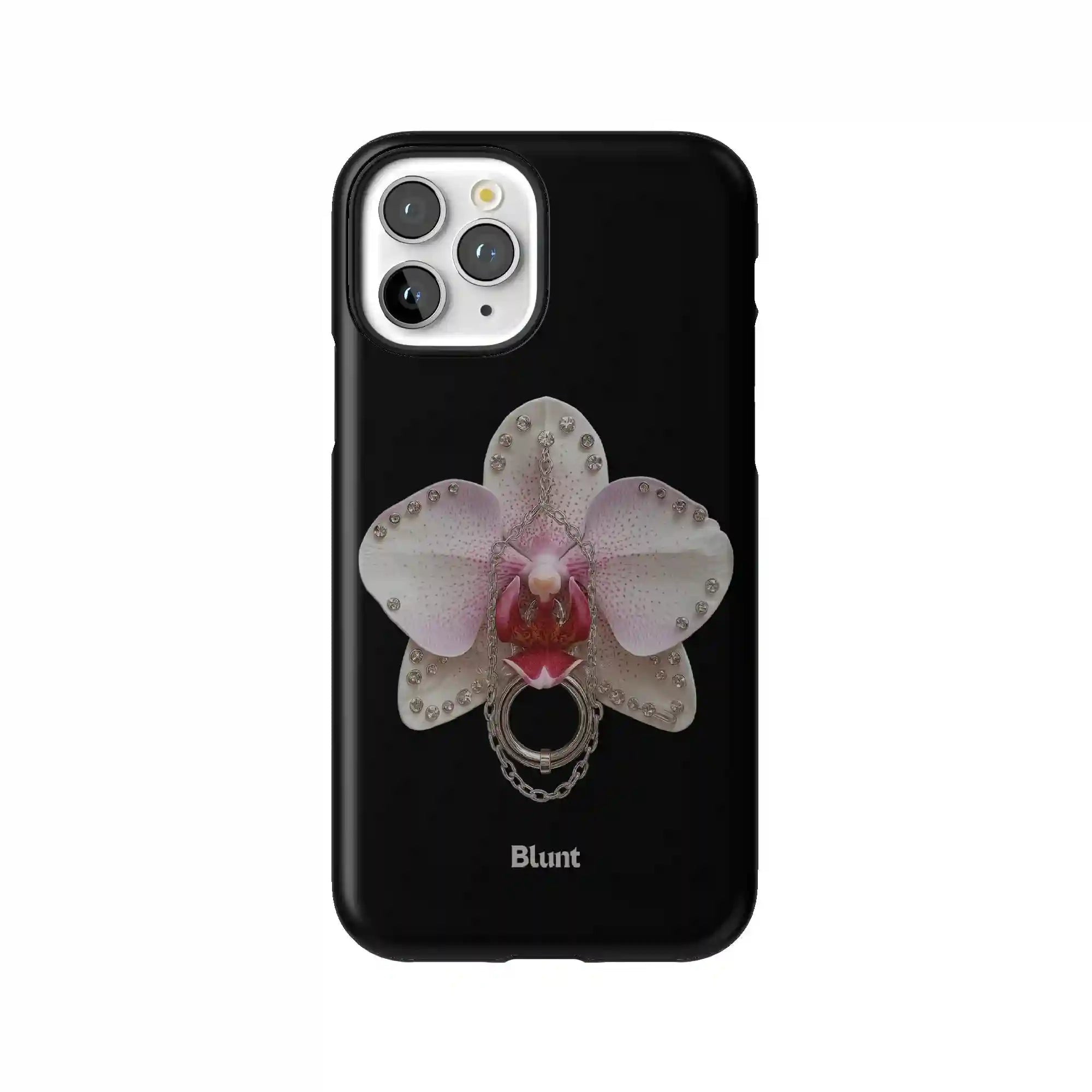 bluntcasesus.it.com