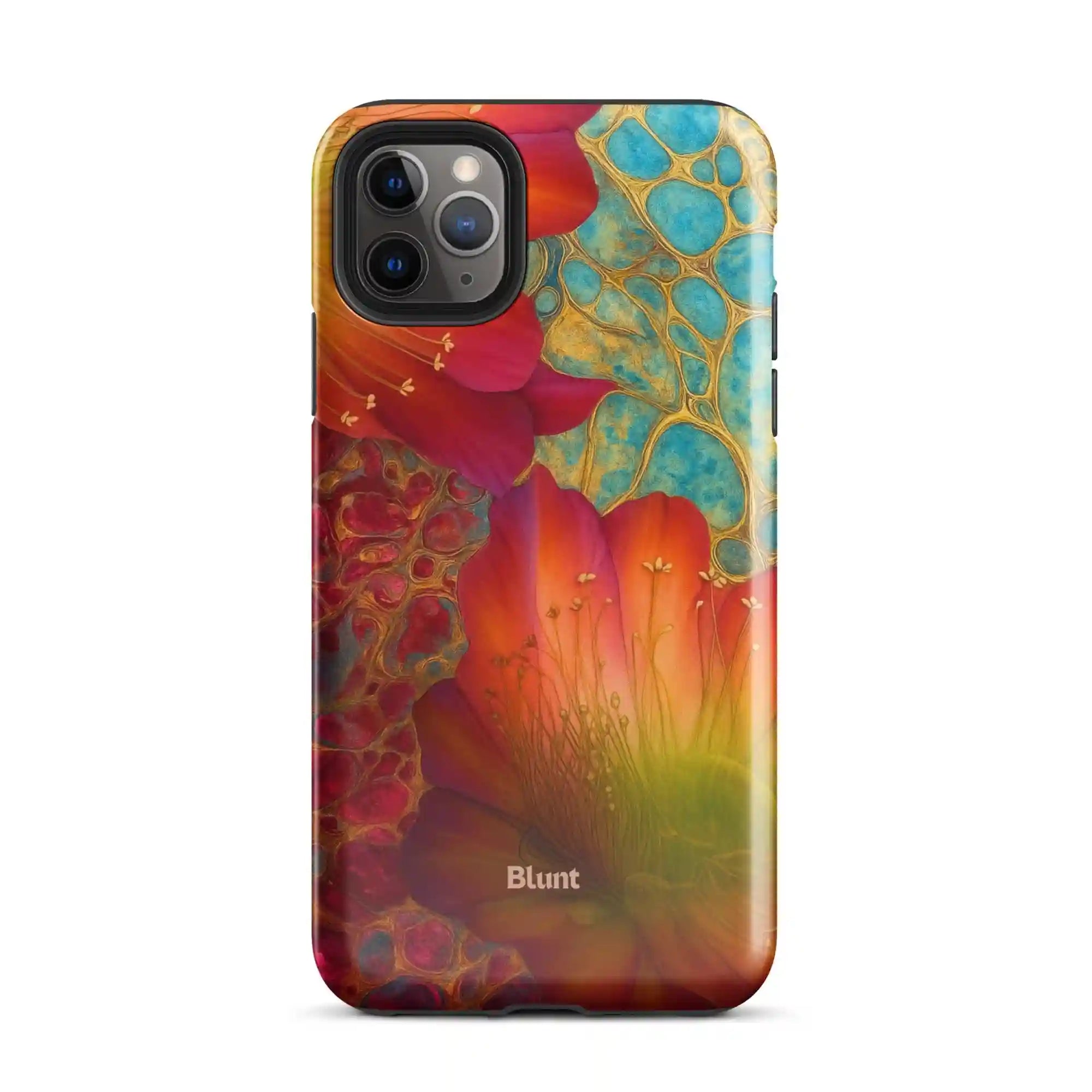 bluntcasesus.it.com