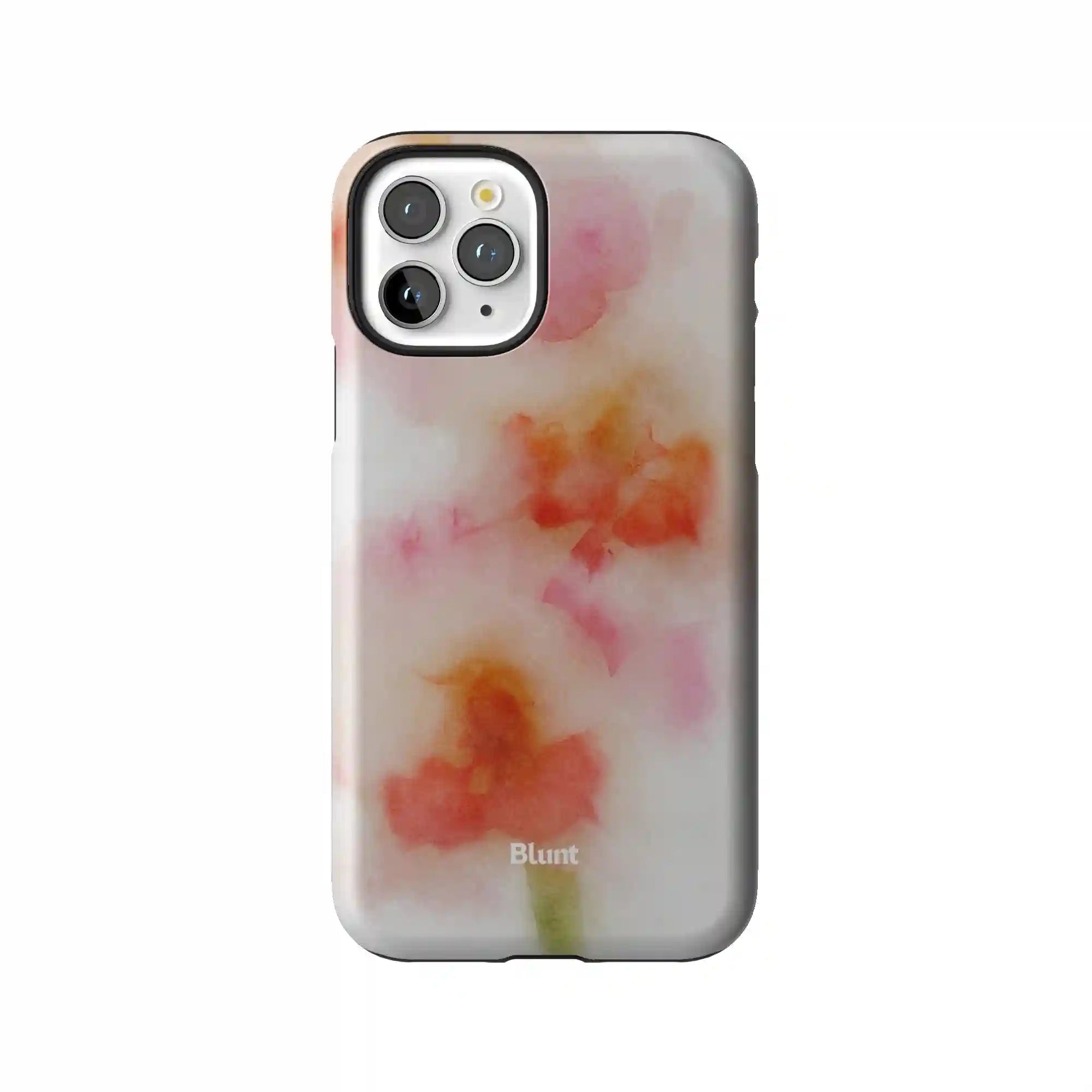 bluntcasesus.it.com