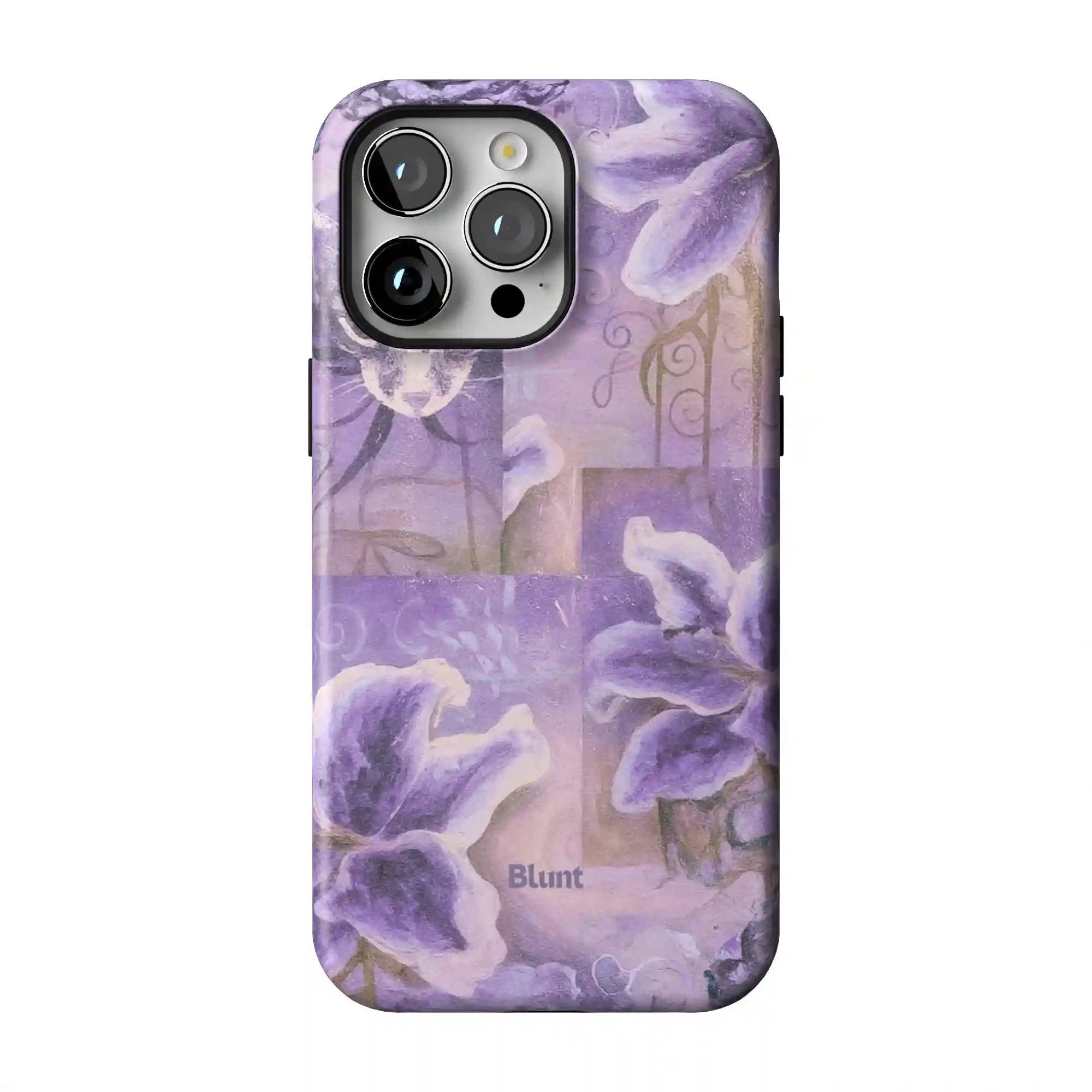 bluntcasesus.it.com