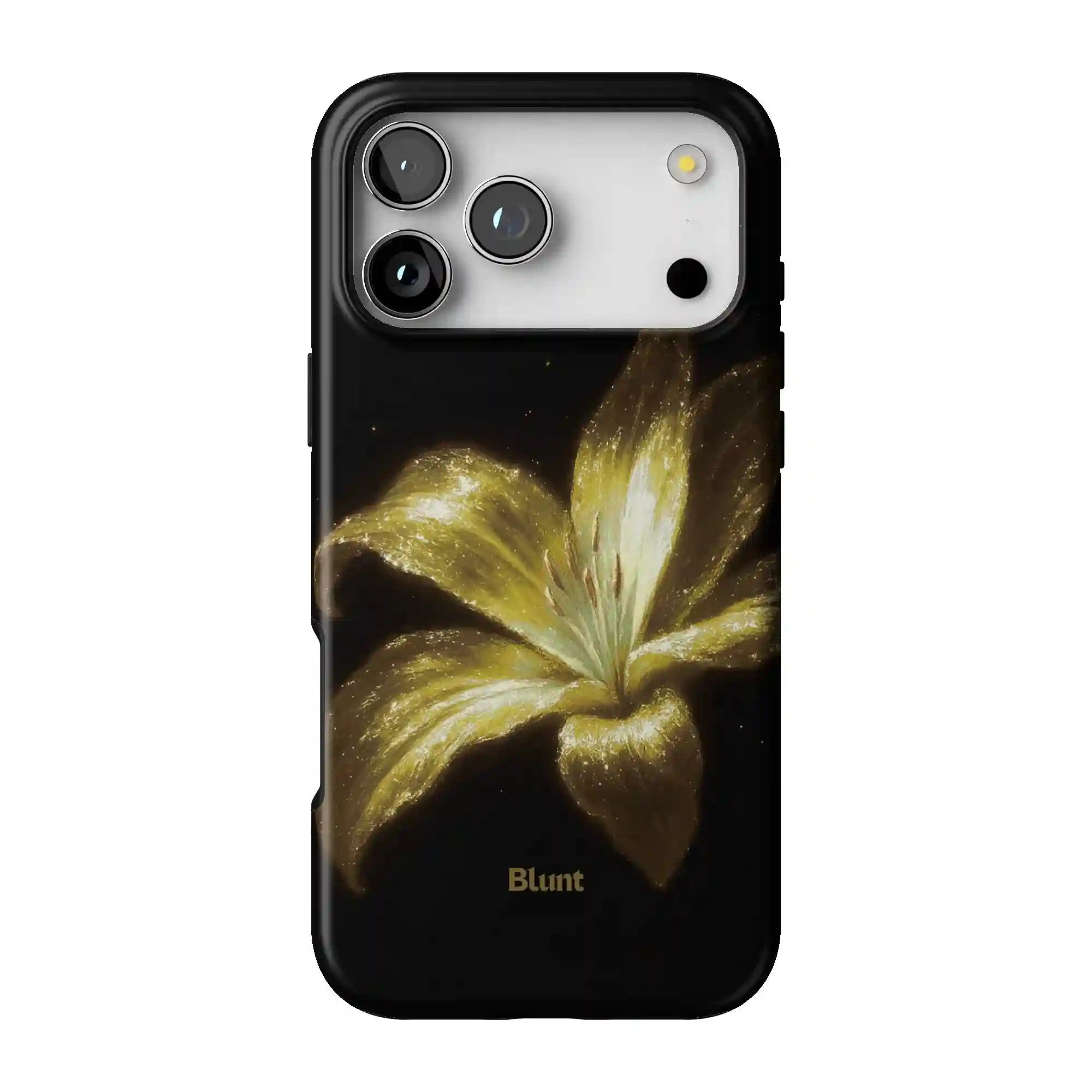 bluntcasesus.it.com