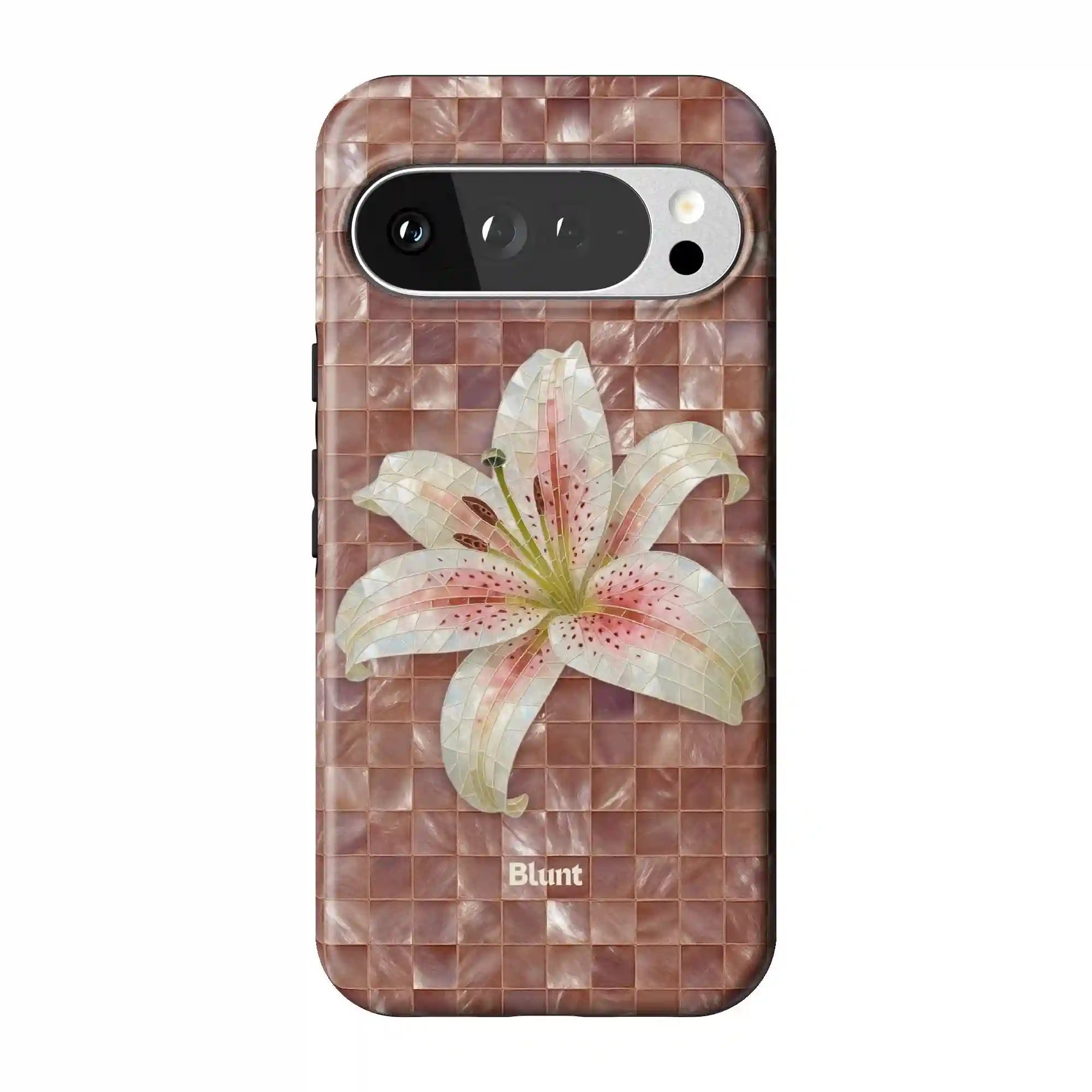 bluntcasesus.it.com
