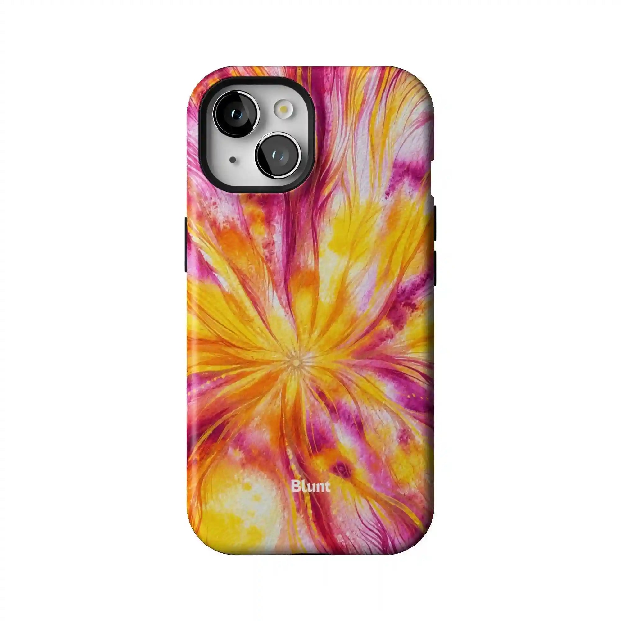 bluntcasesus.it.com