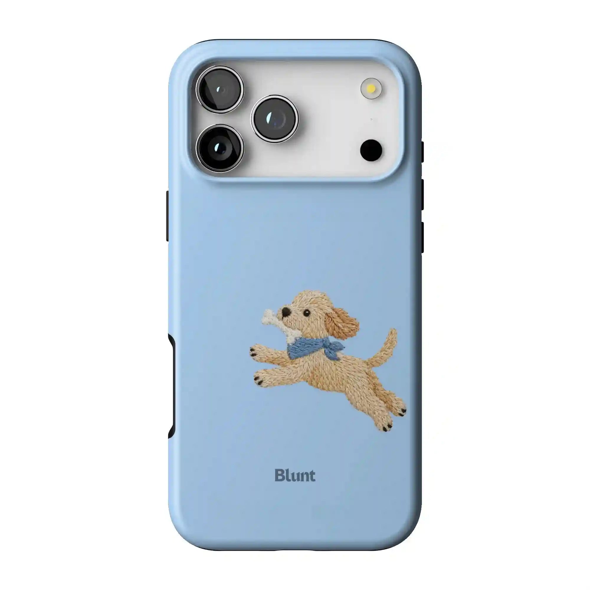 bluntcasesus.it.com