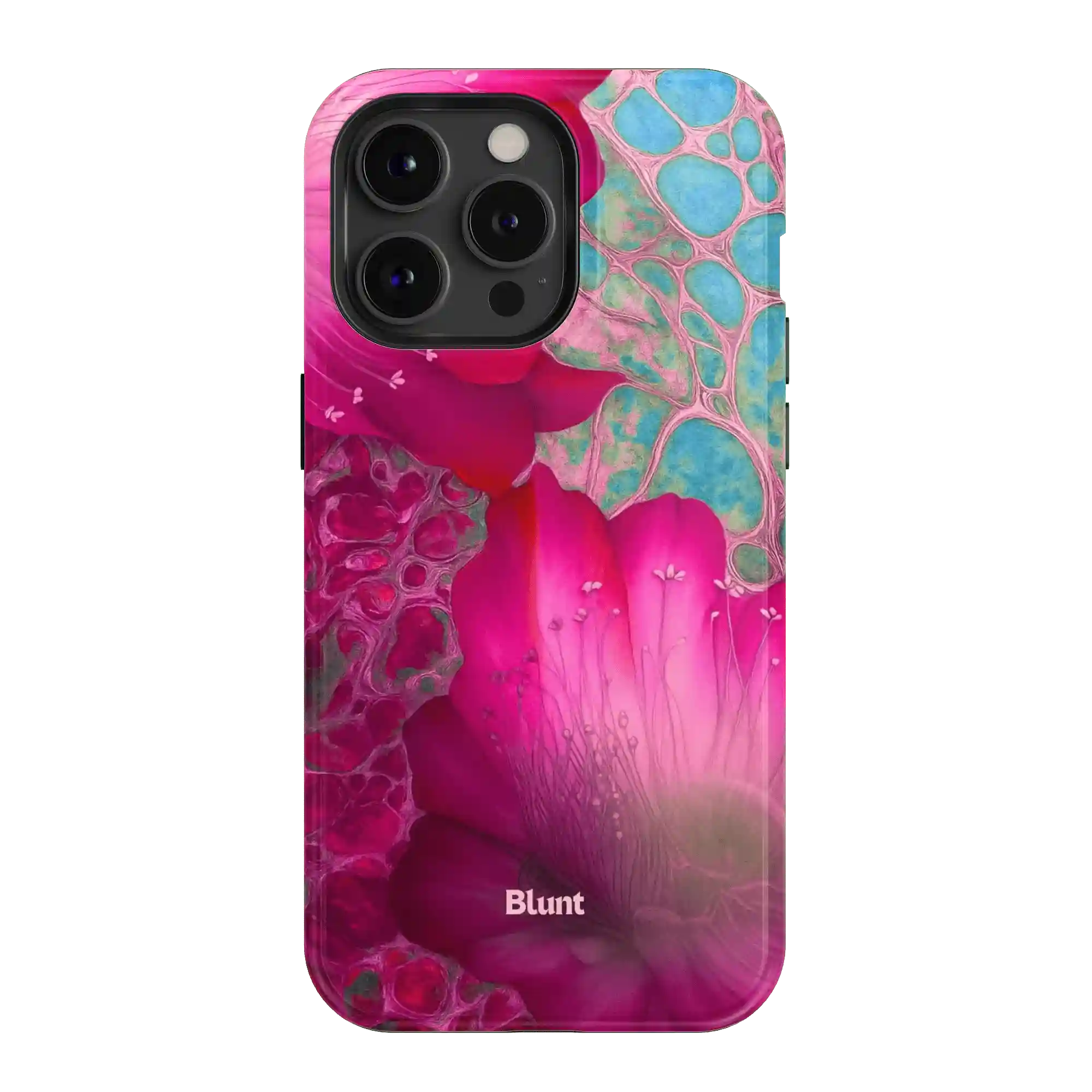 bluntcasesus.it.com