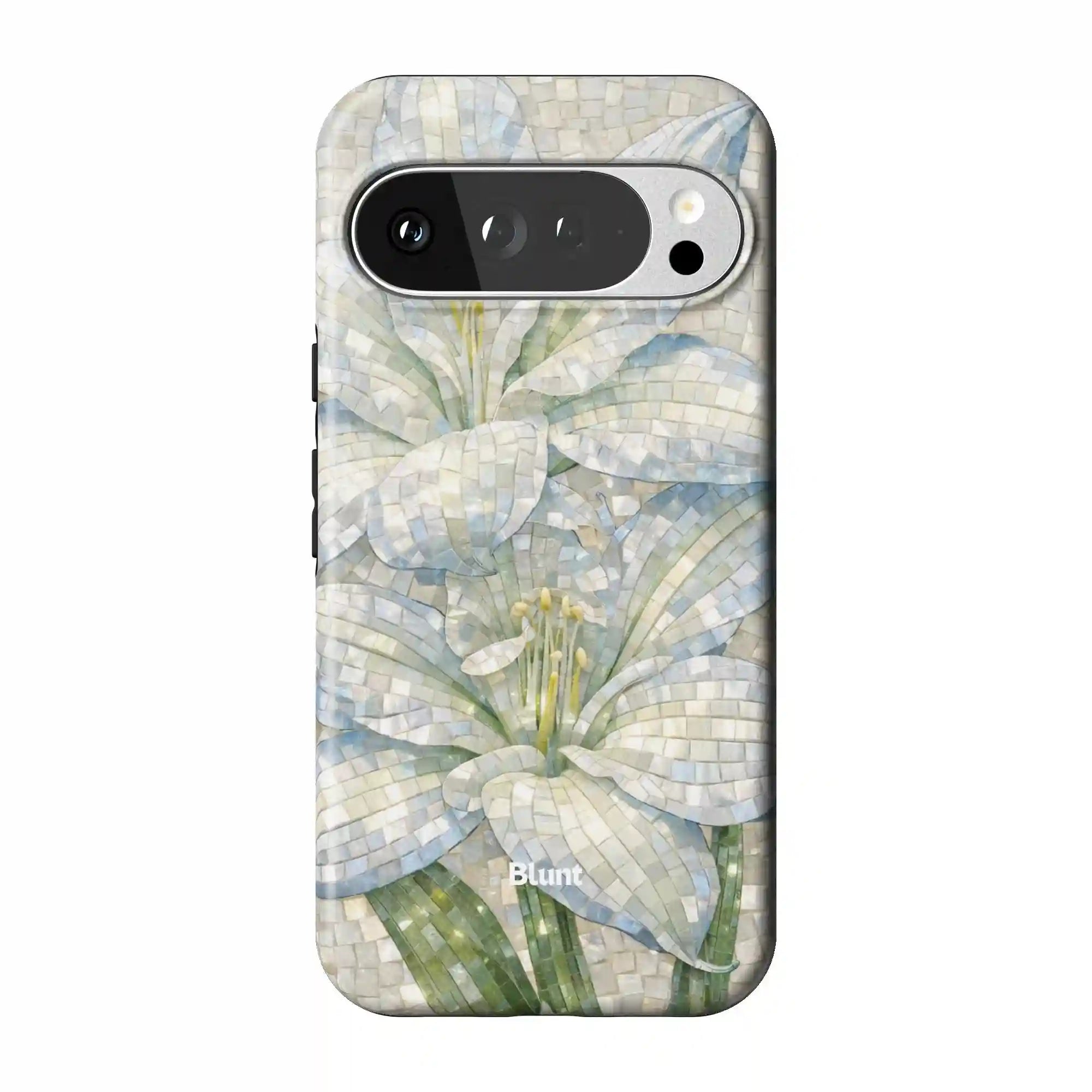 bluntcasesus.it.com