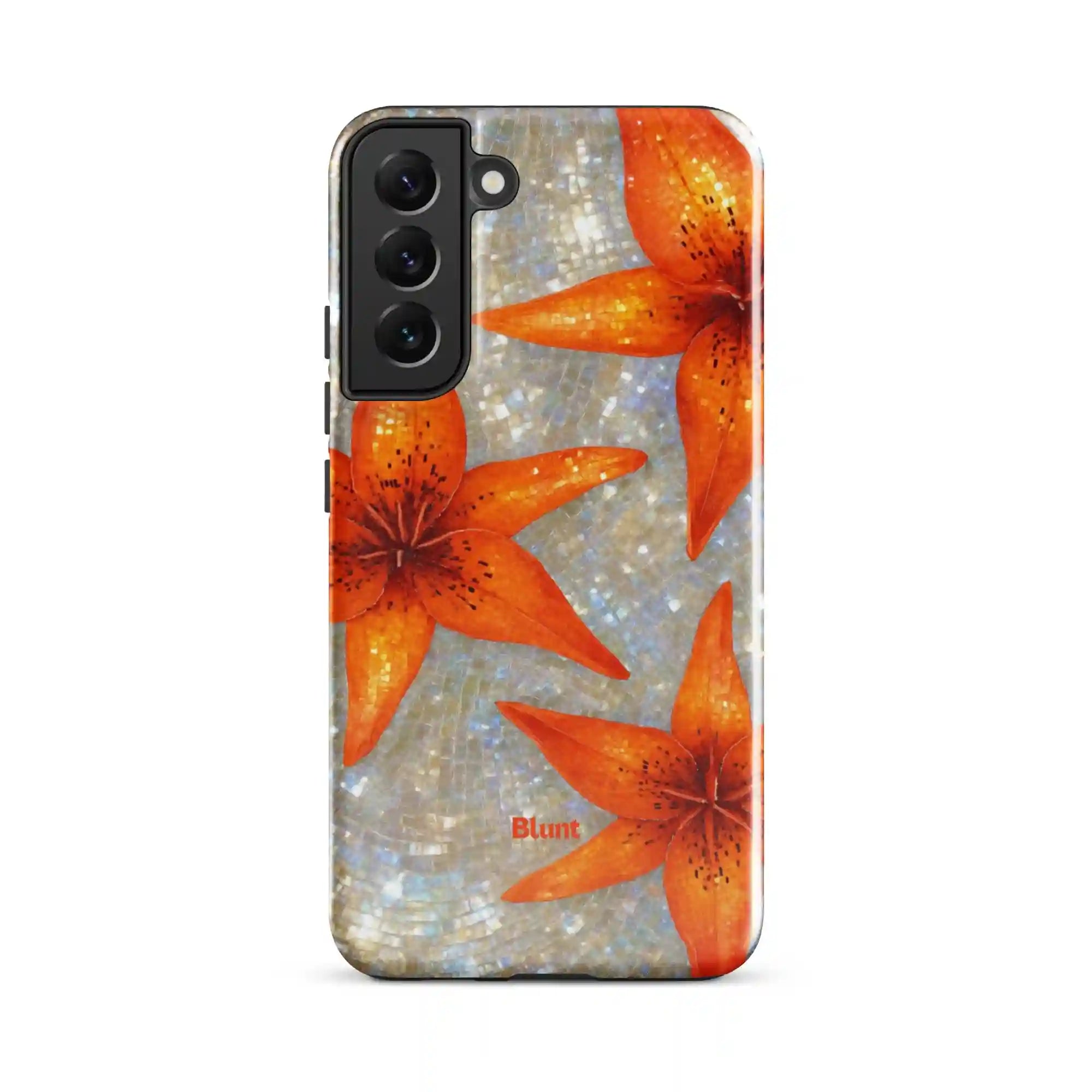 bluntcasesus.it.com