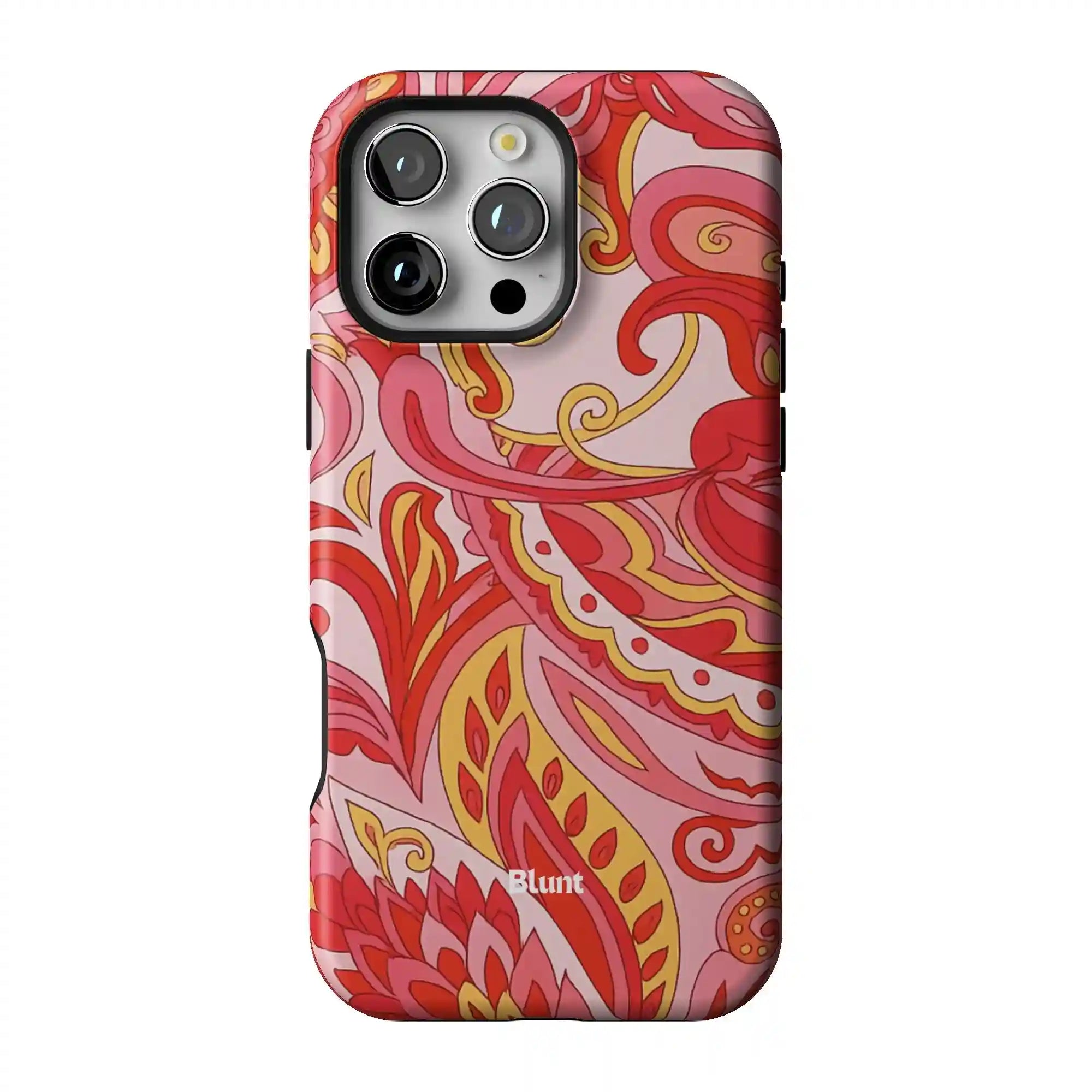 bluntcasesus.it.com