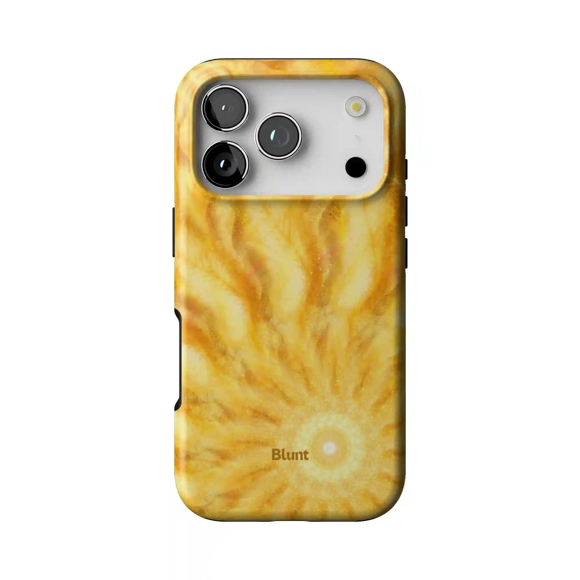 bluntcasesus.it.com