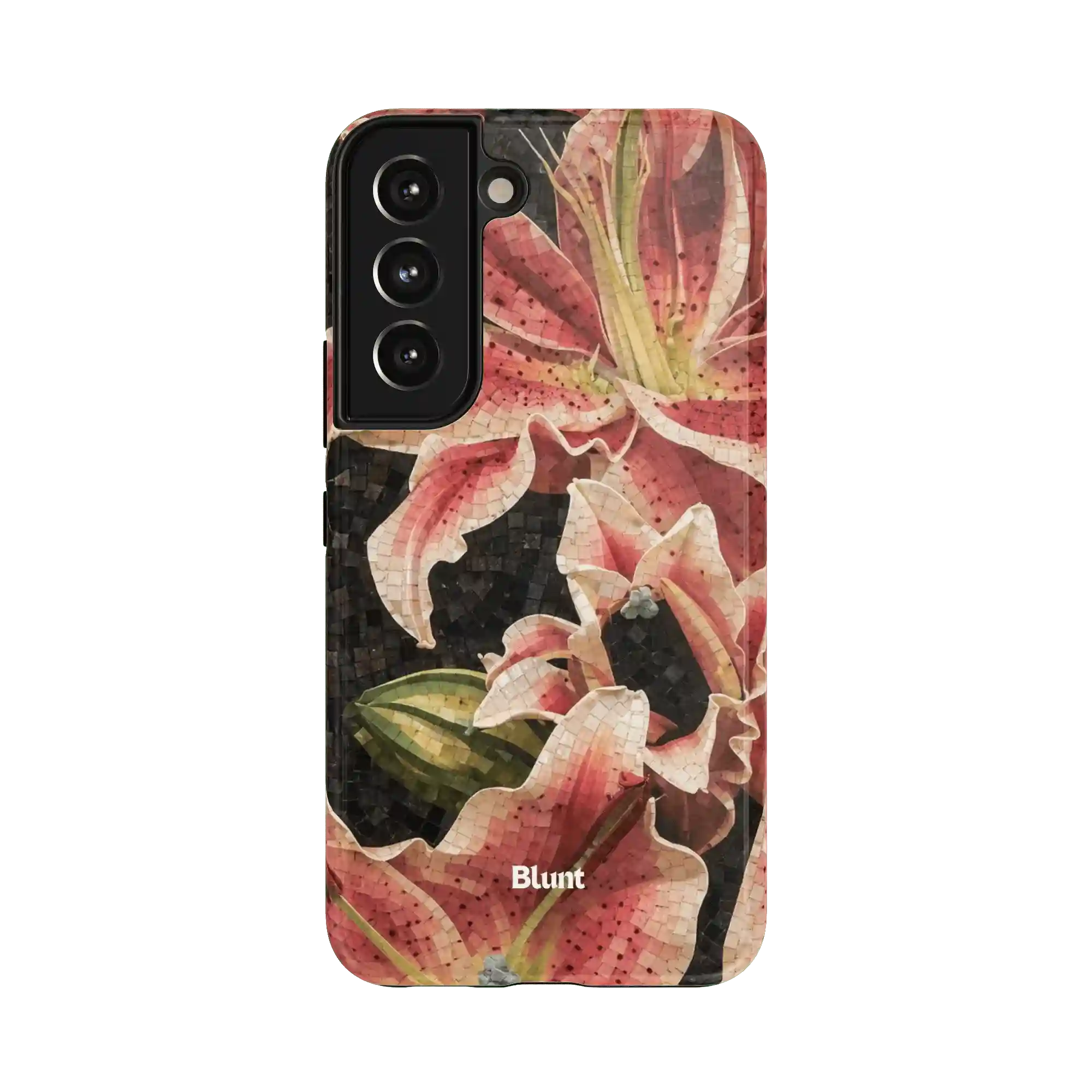 bluntcasesus.it.com