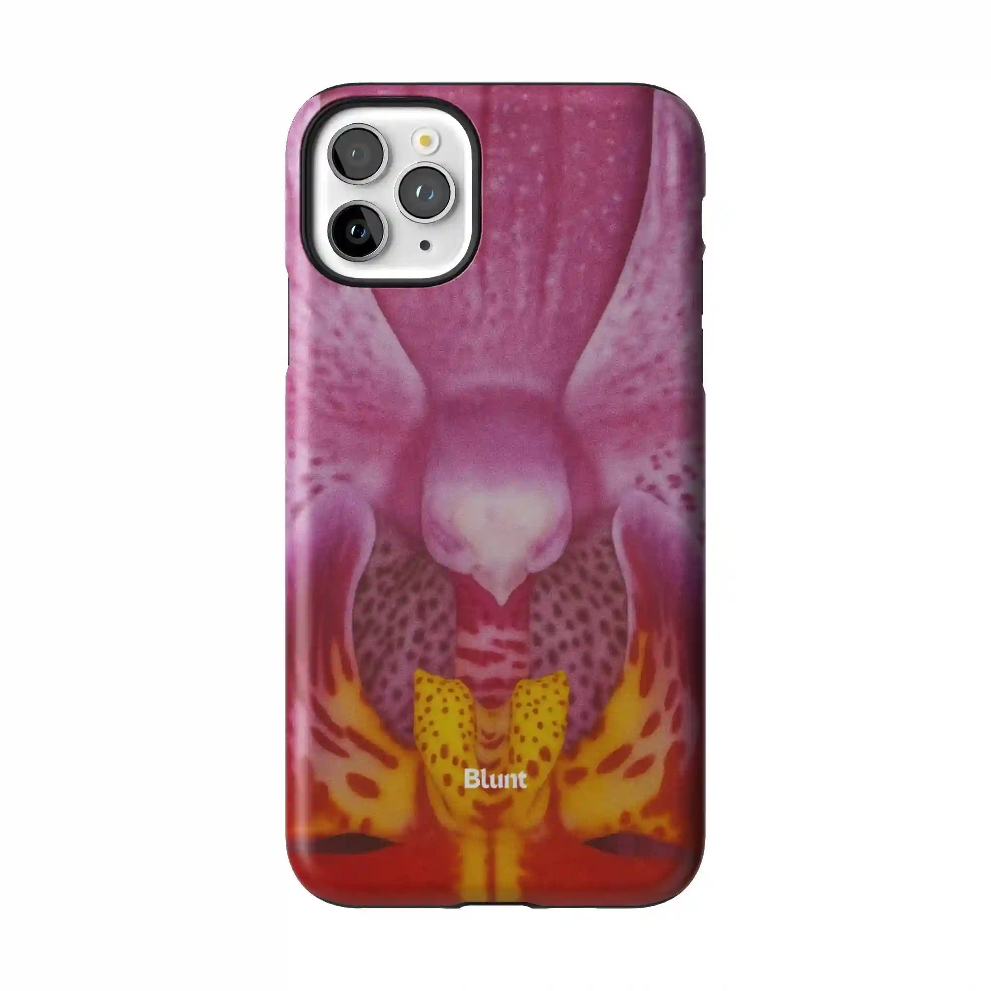 bluntcasesus.it.com