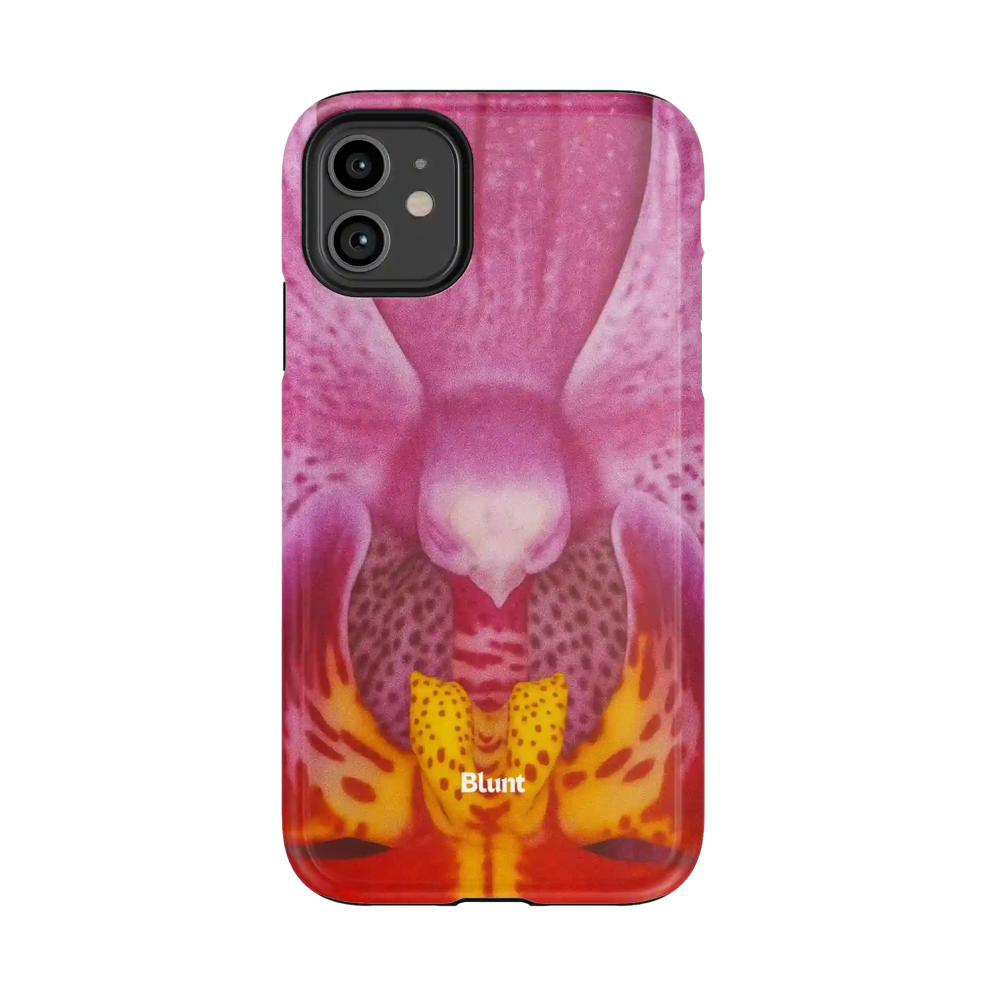 bluntcasesus.it.com