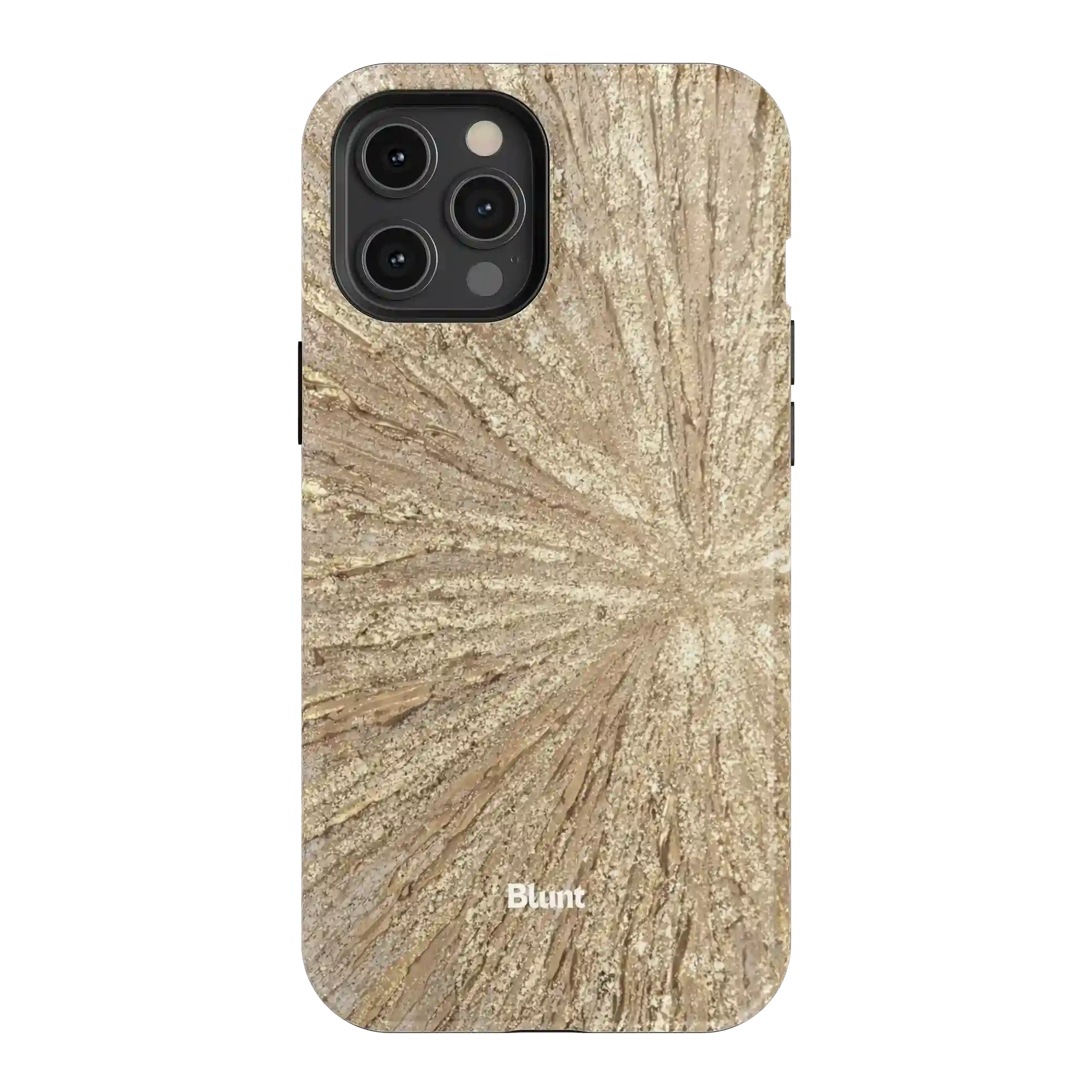 bluntcasesus.it.com