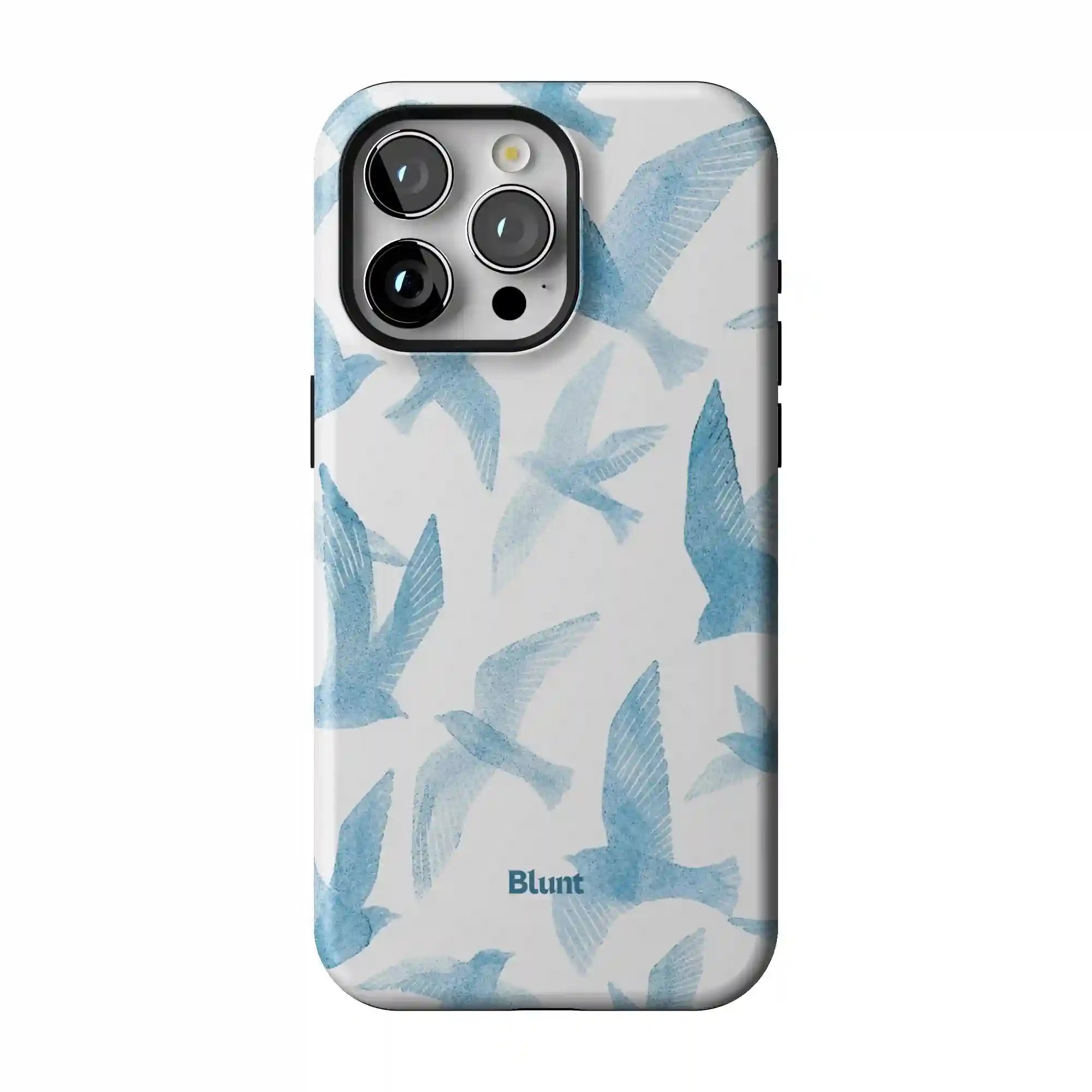 bluntcasesus.it.com