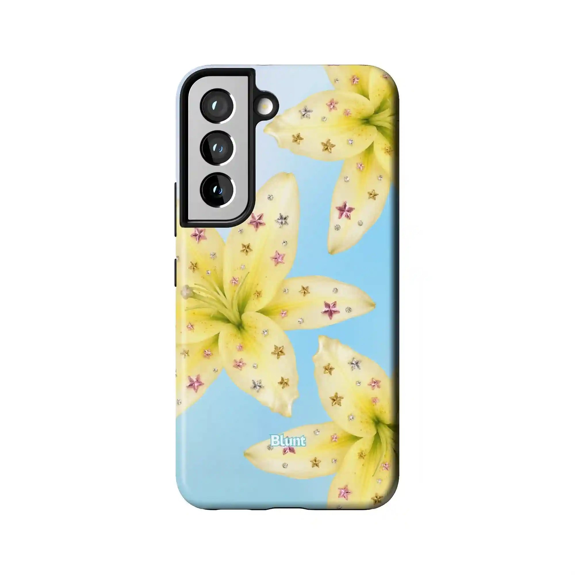 bluntcasesus.it.com