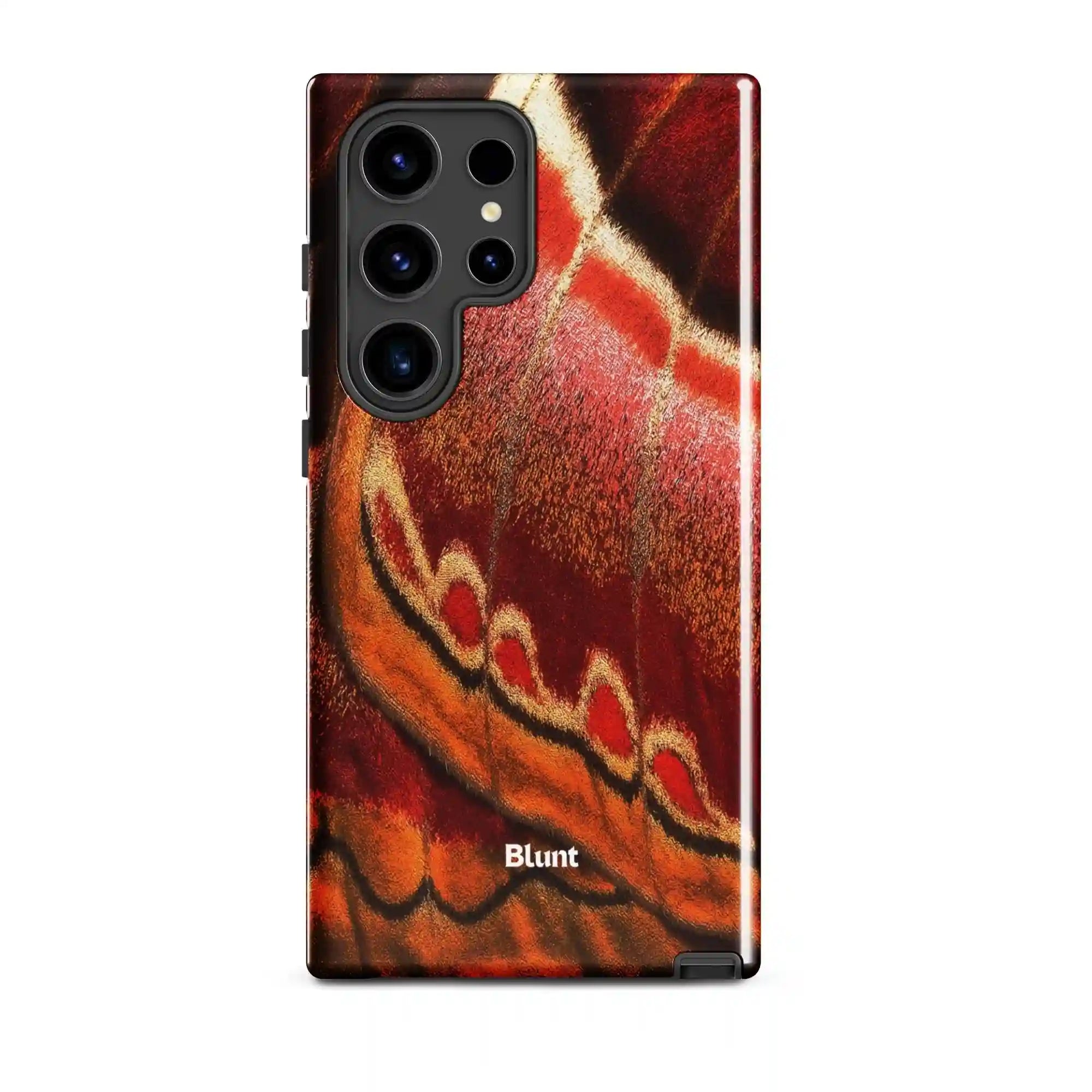 bluntcasesus.it.com