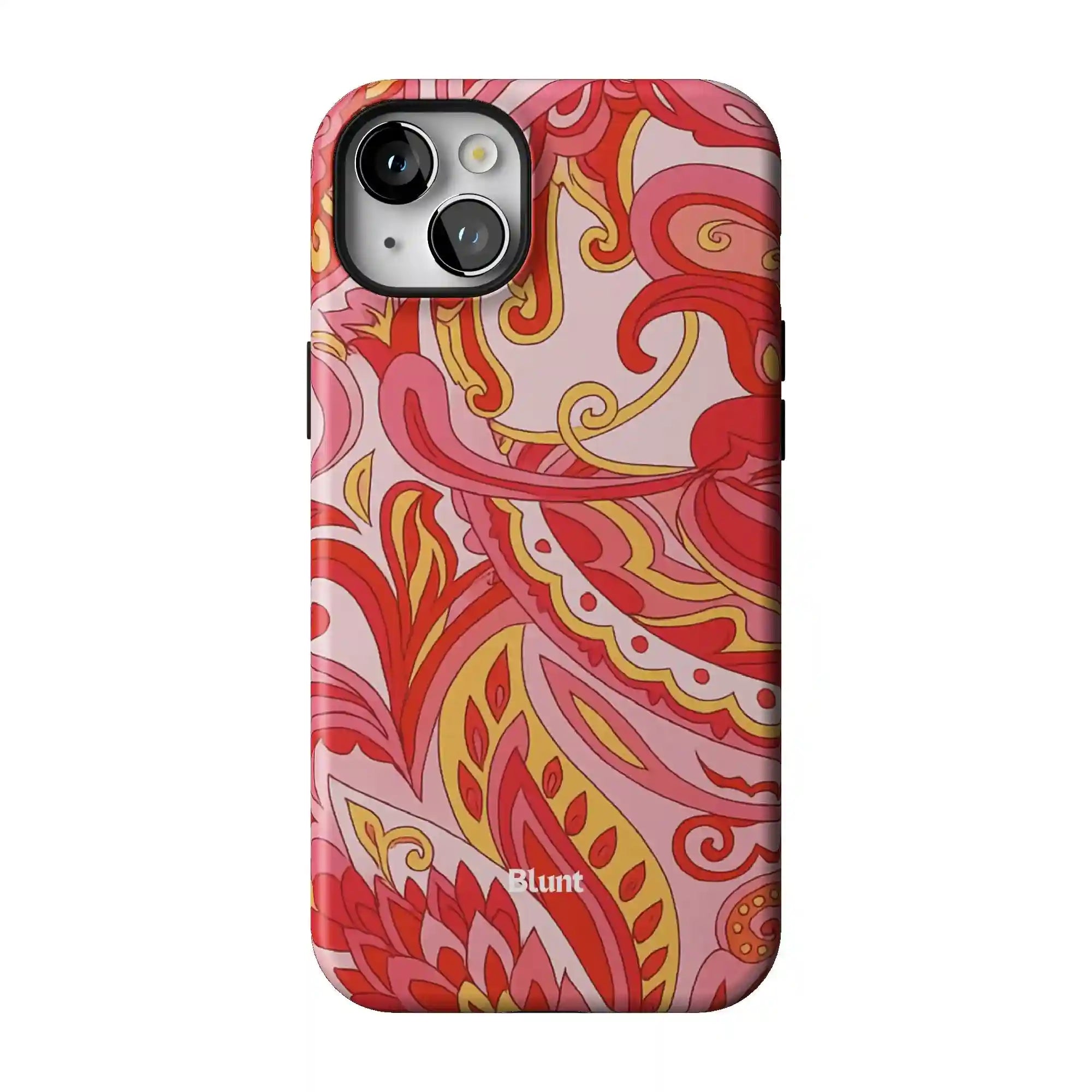 bluntcasesus.it.com