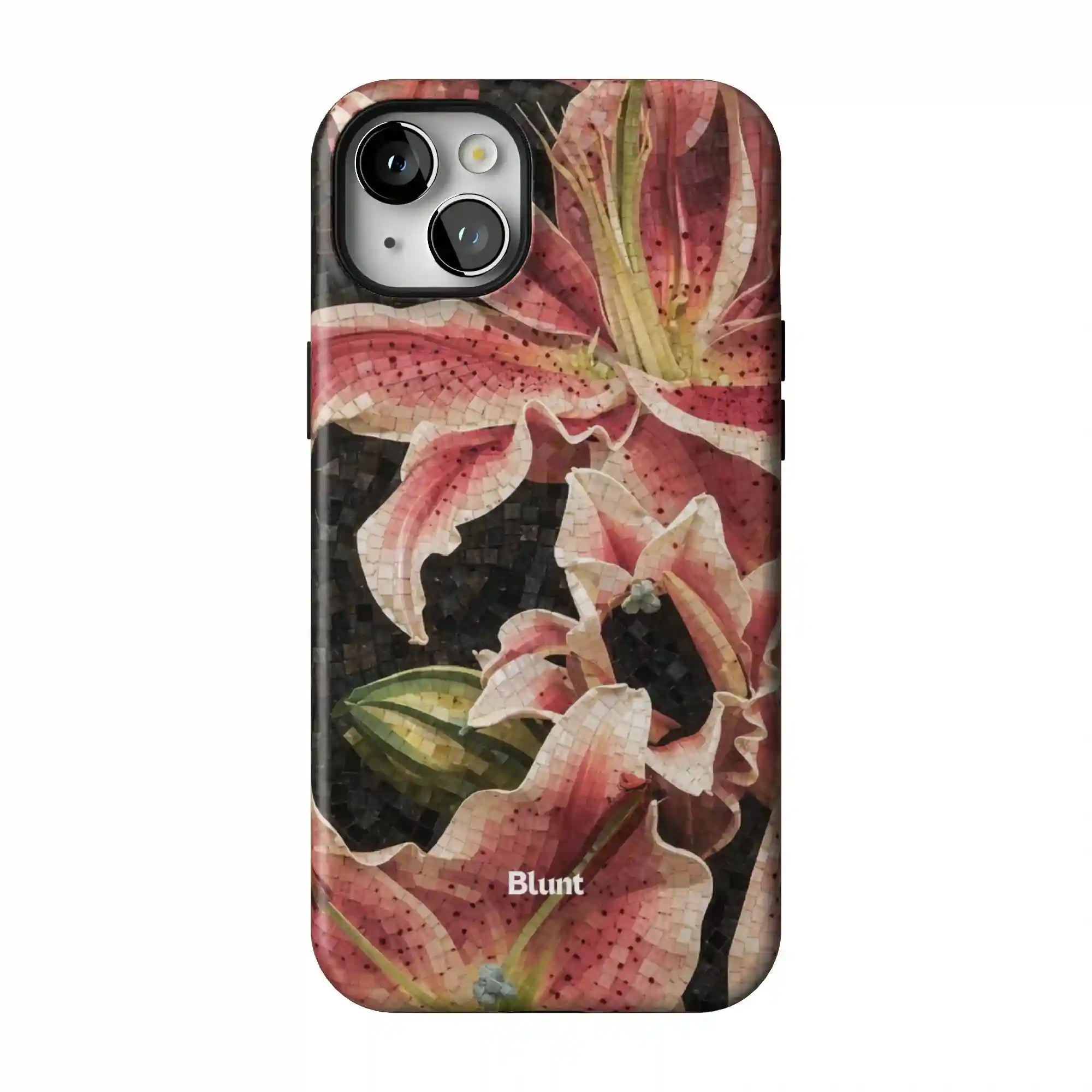 bluntcasesus.it.com