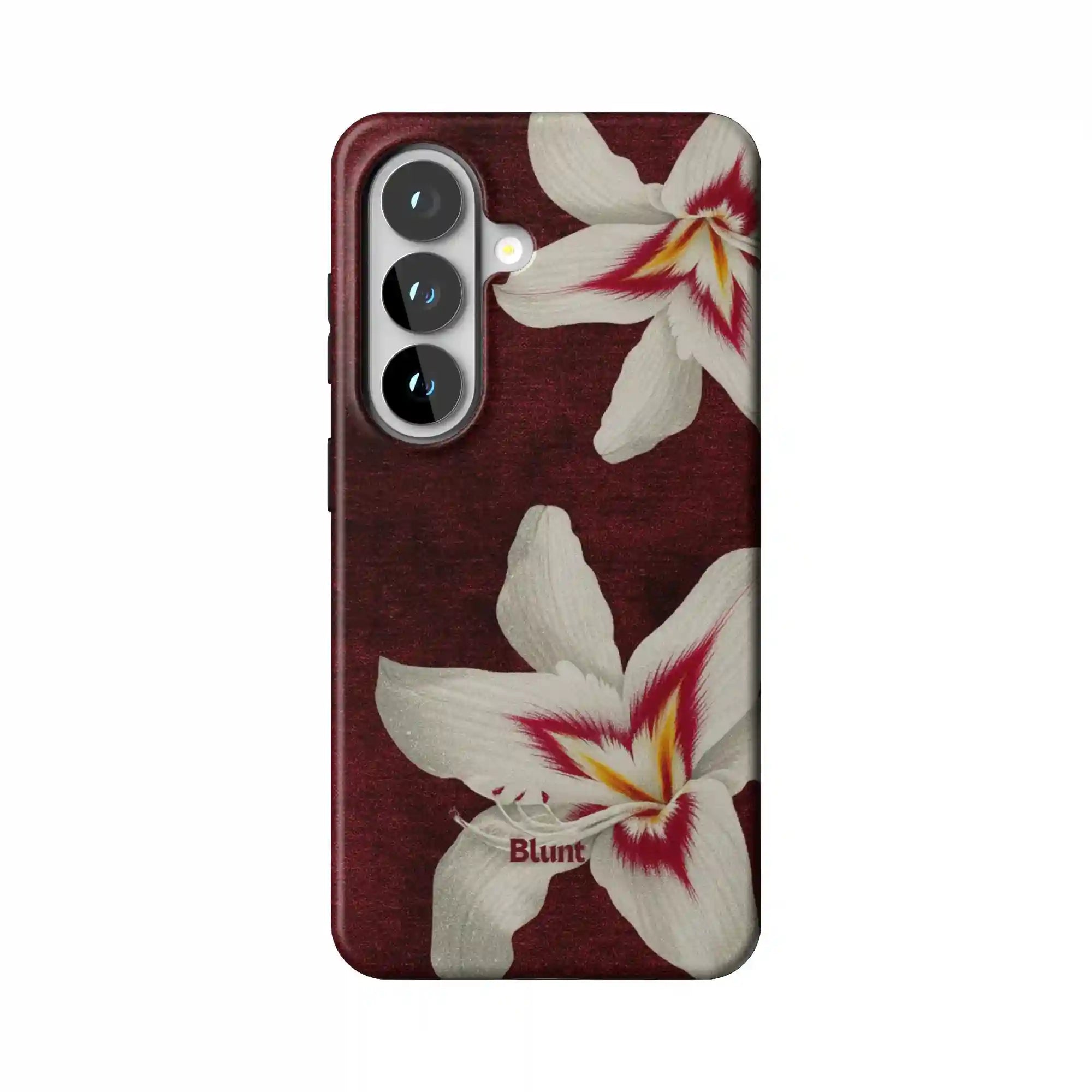 bluntcasesus.it.com