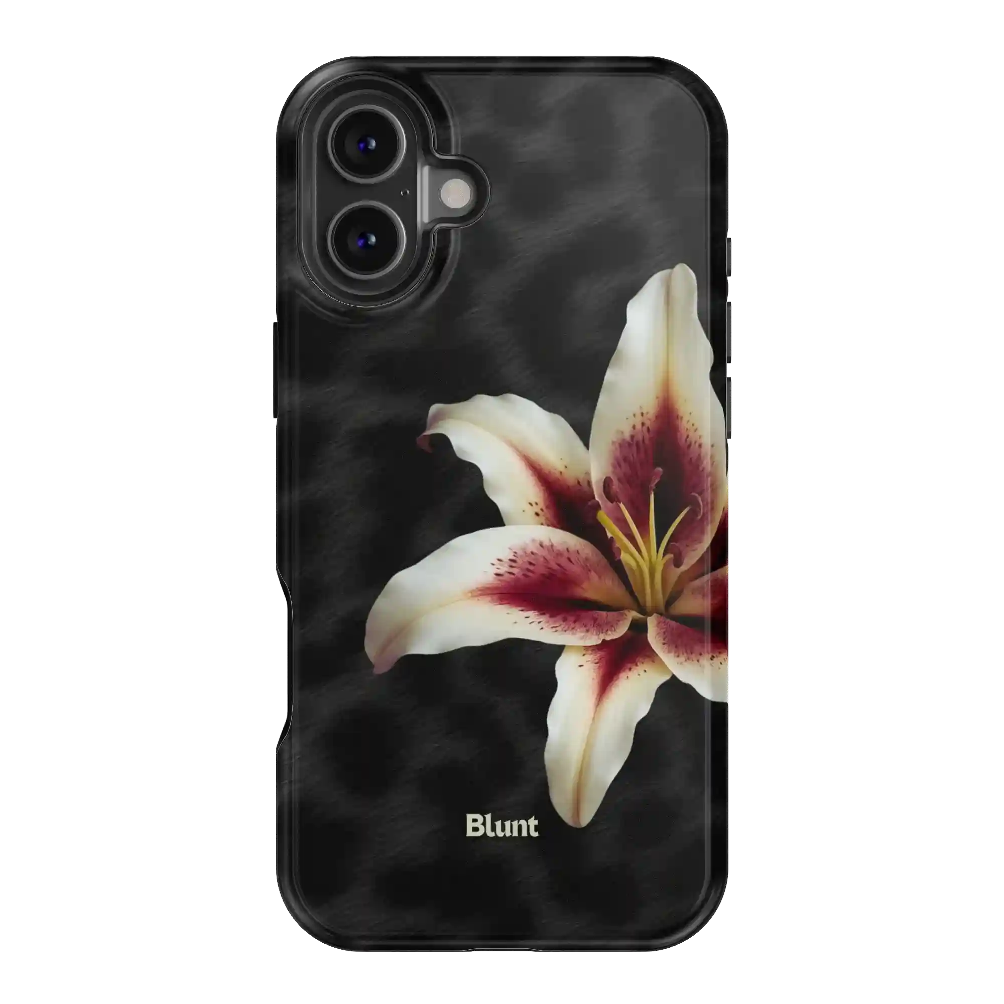 bluntcasesus.it.com
