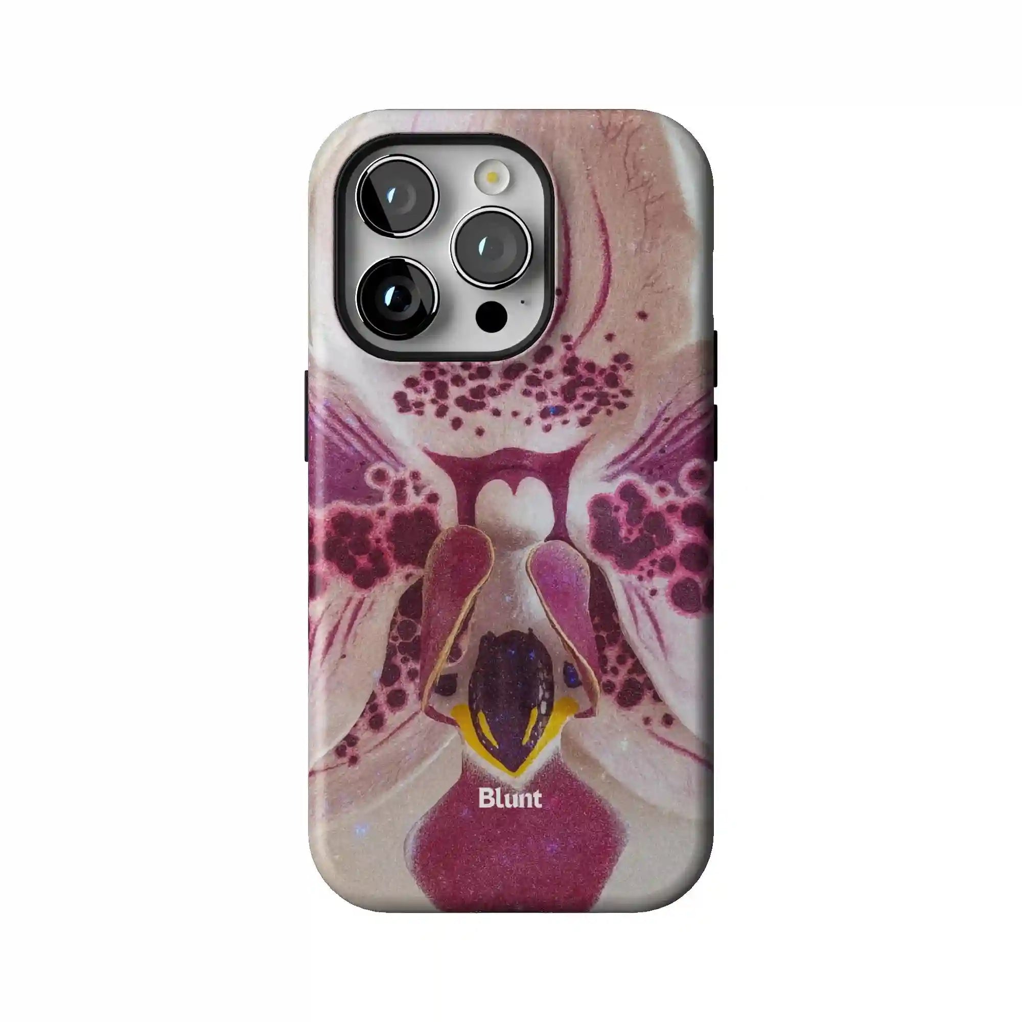 bluntcasesus.it.com