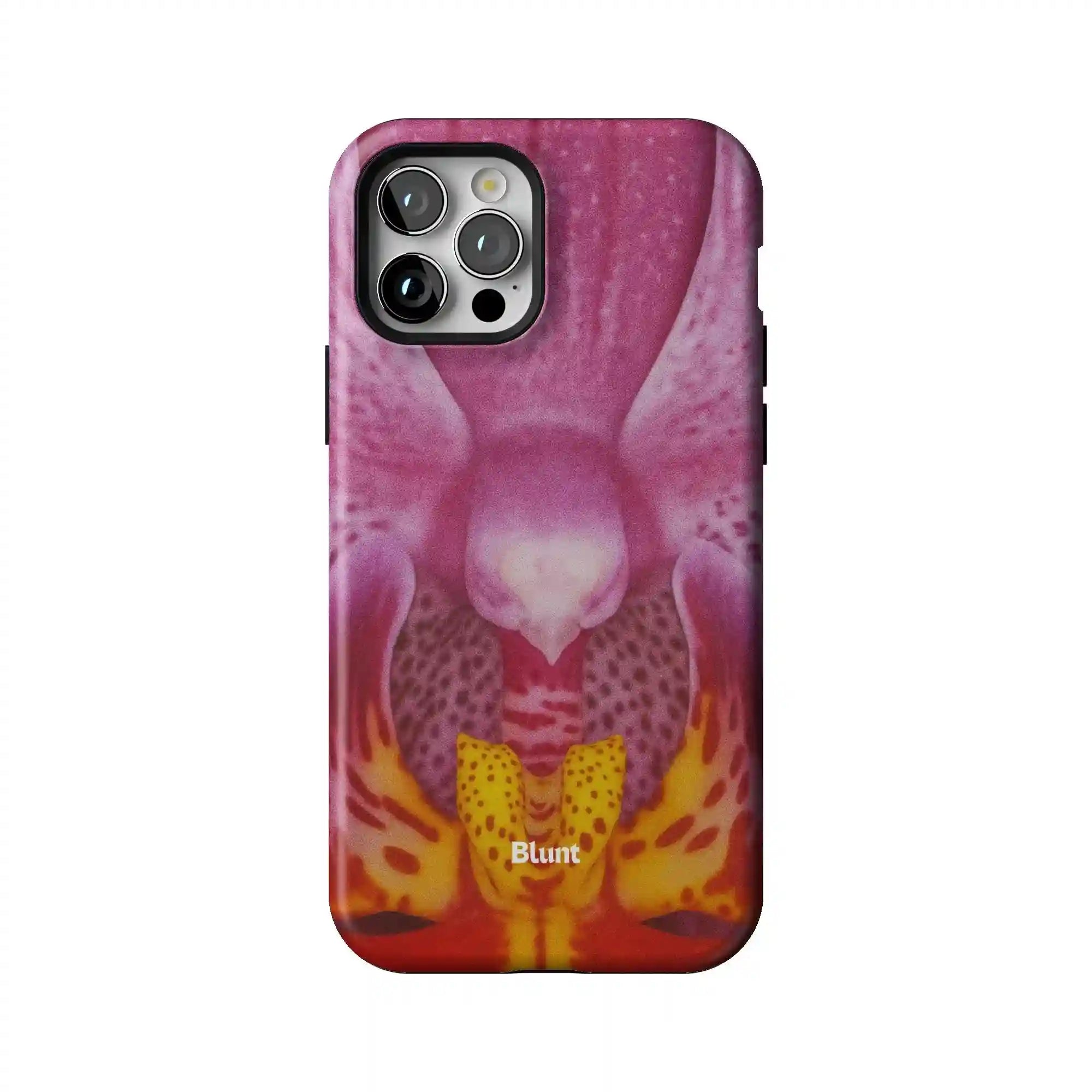 bluntcasesus.it.com