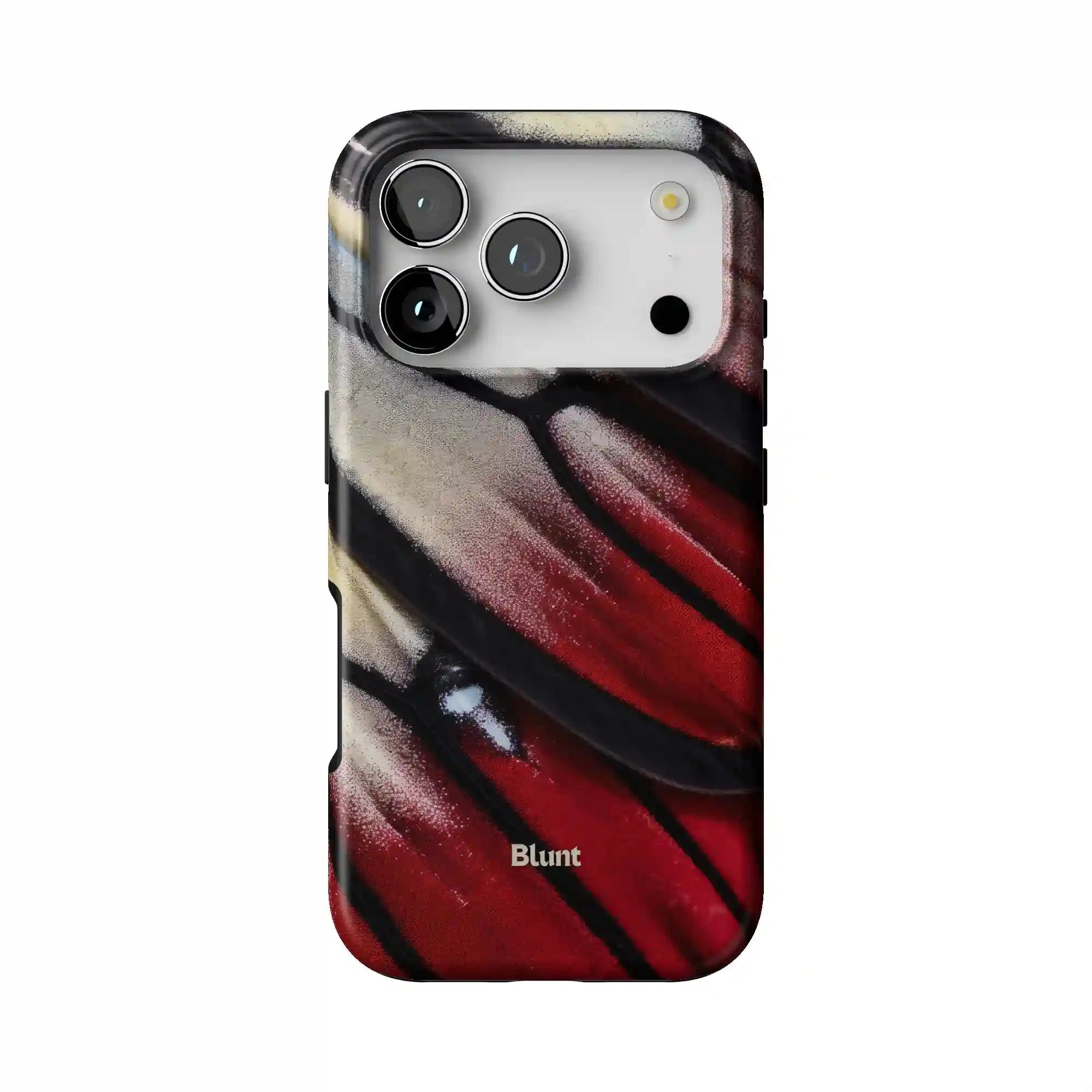 bluntcasesus.it.com
