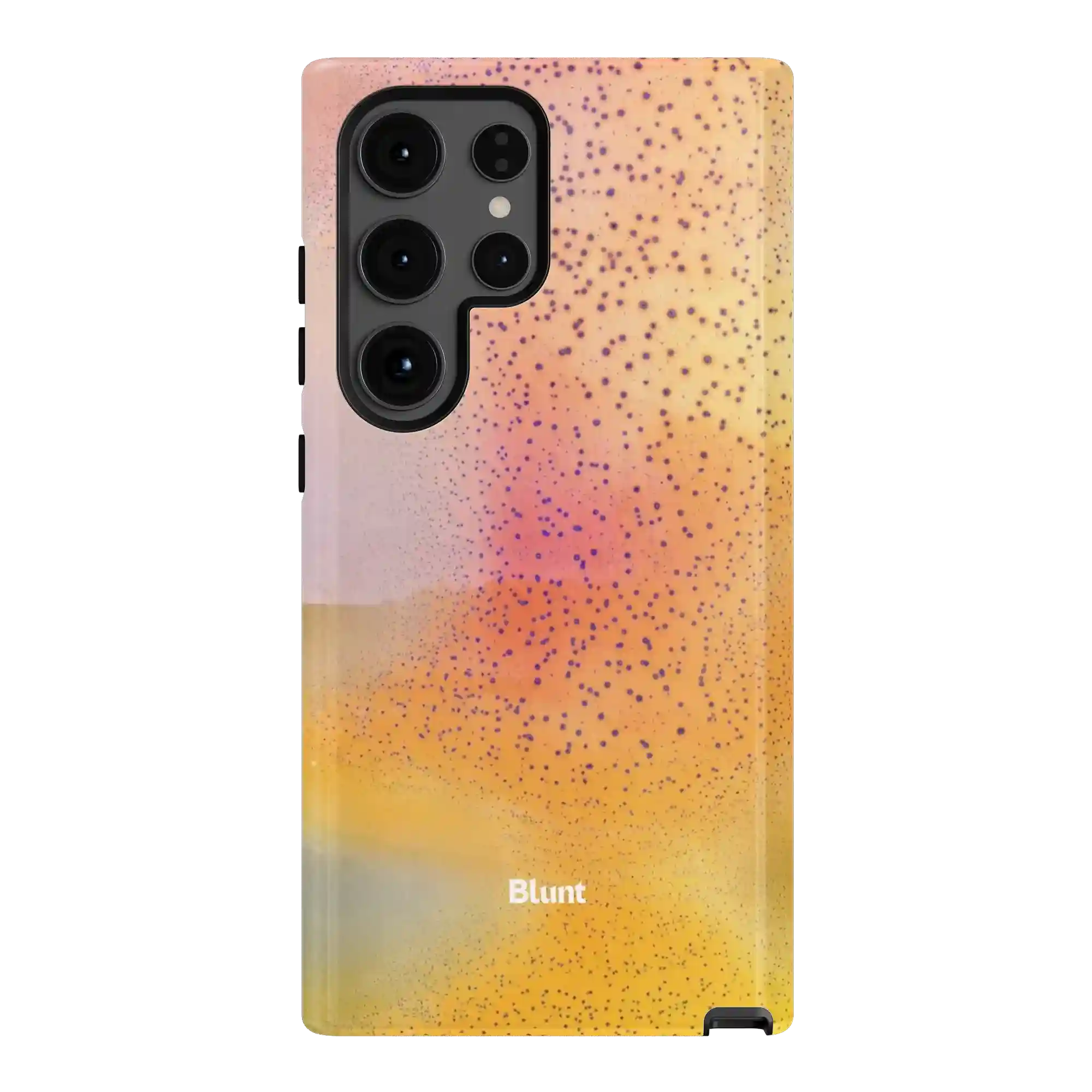 bluntcasesus.it.com