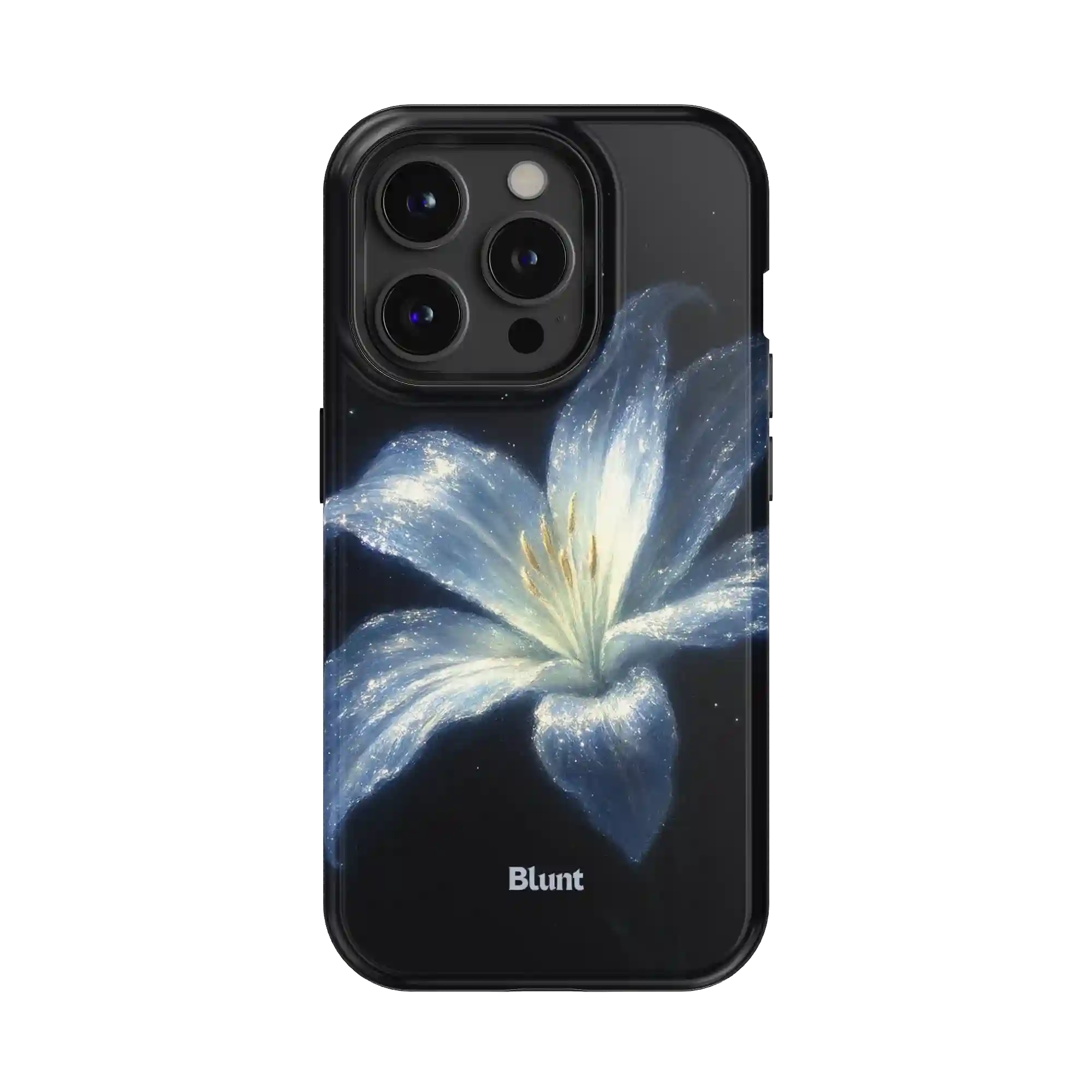 bluntcasesus.it.com