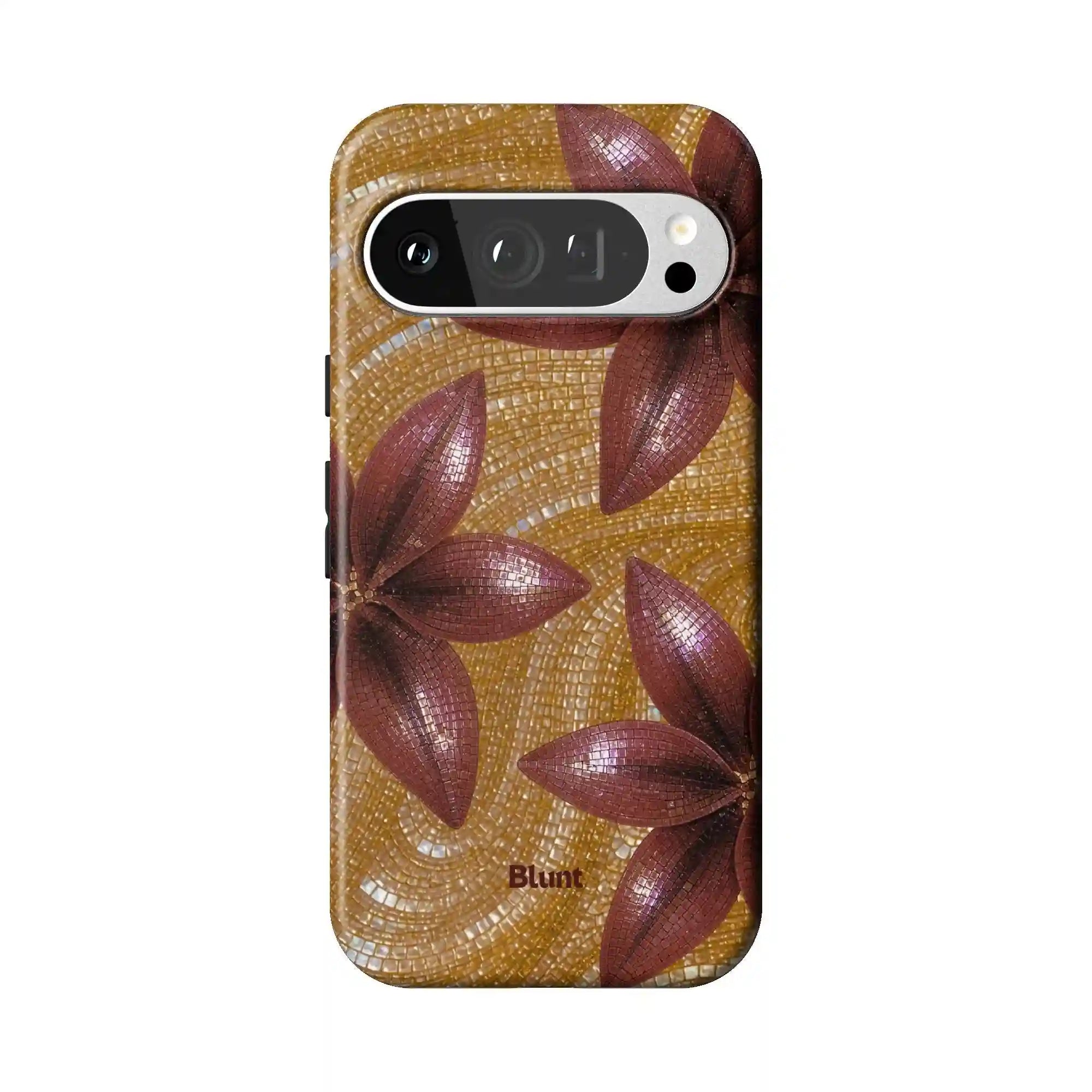 bluntcasesus.it.com