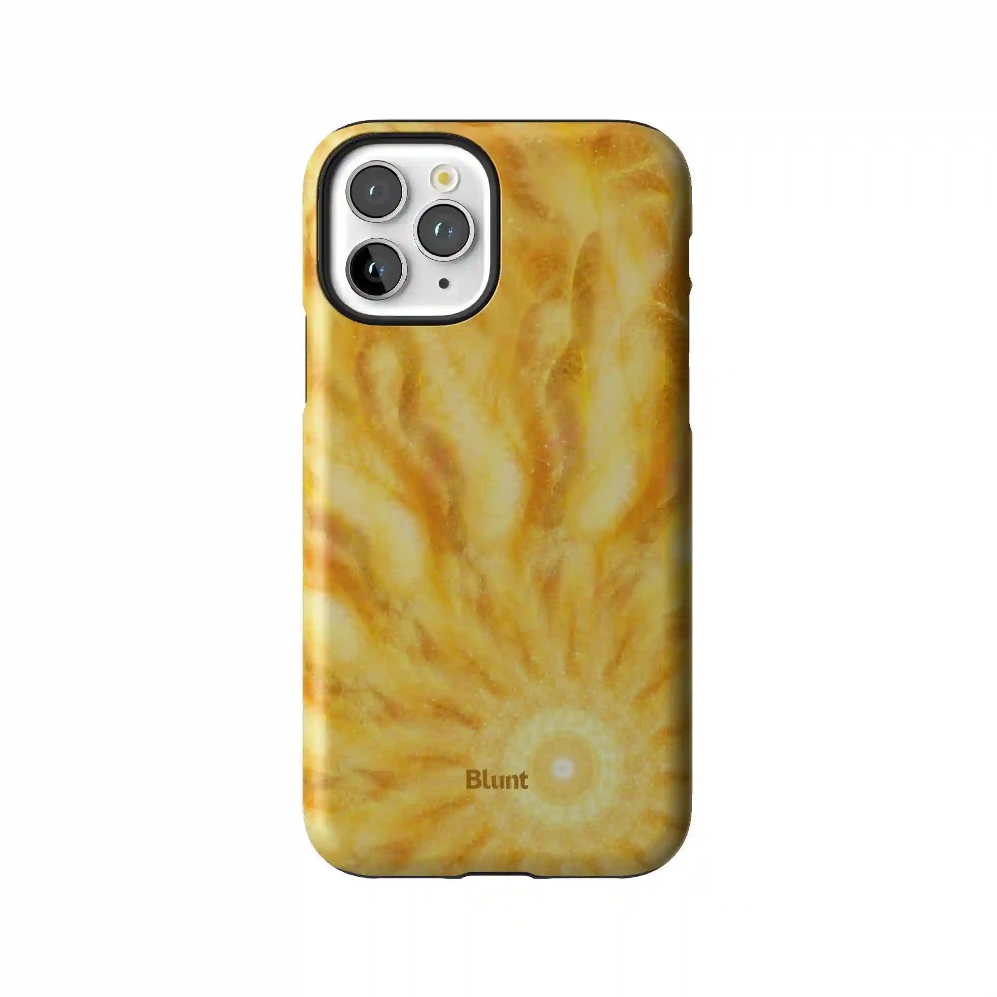 bluntcasesus.it.com