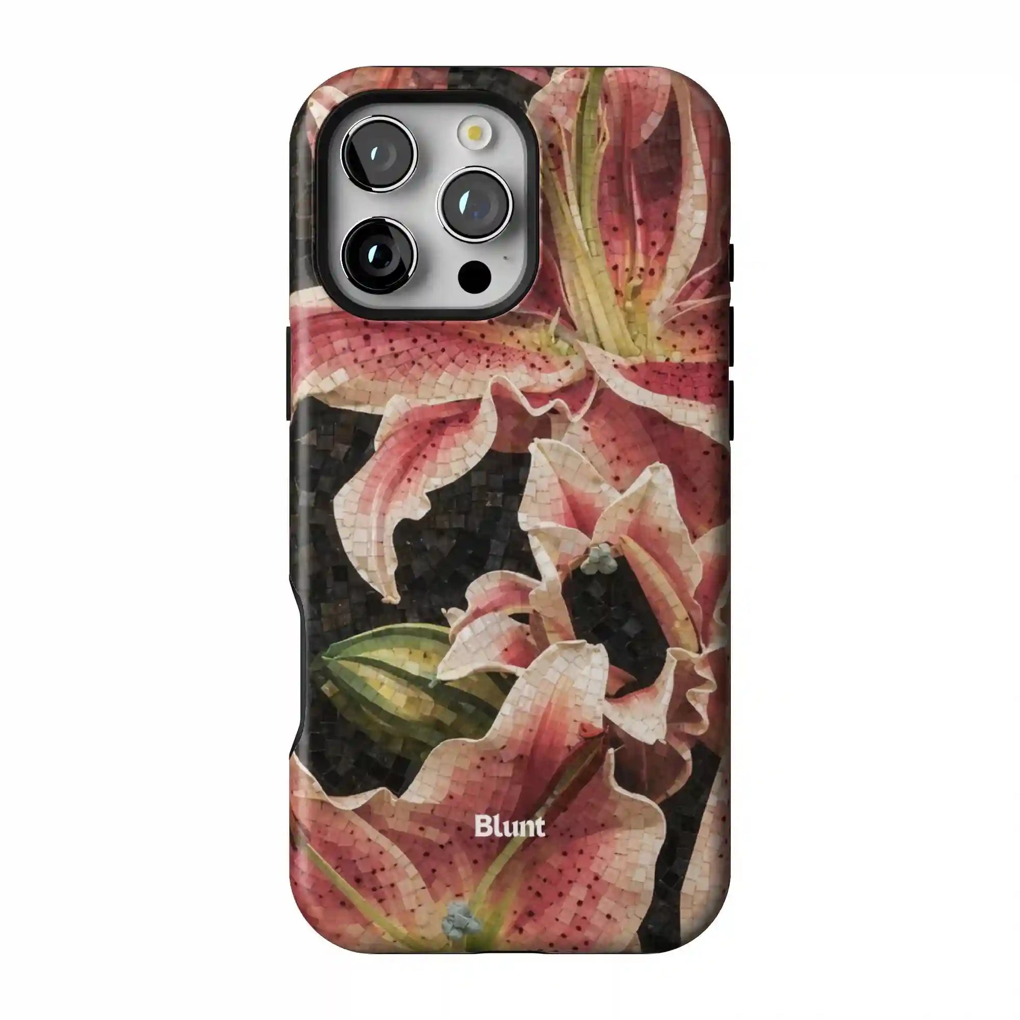 bluntcasesus.it.com