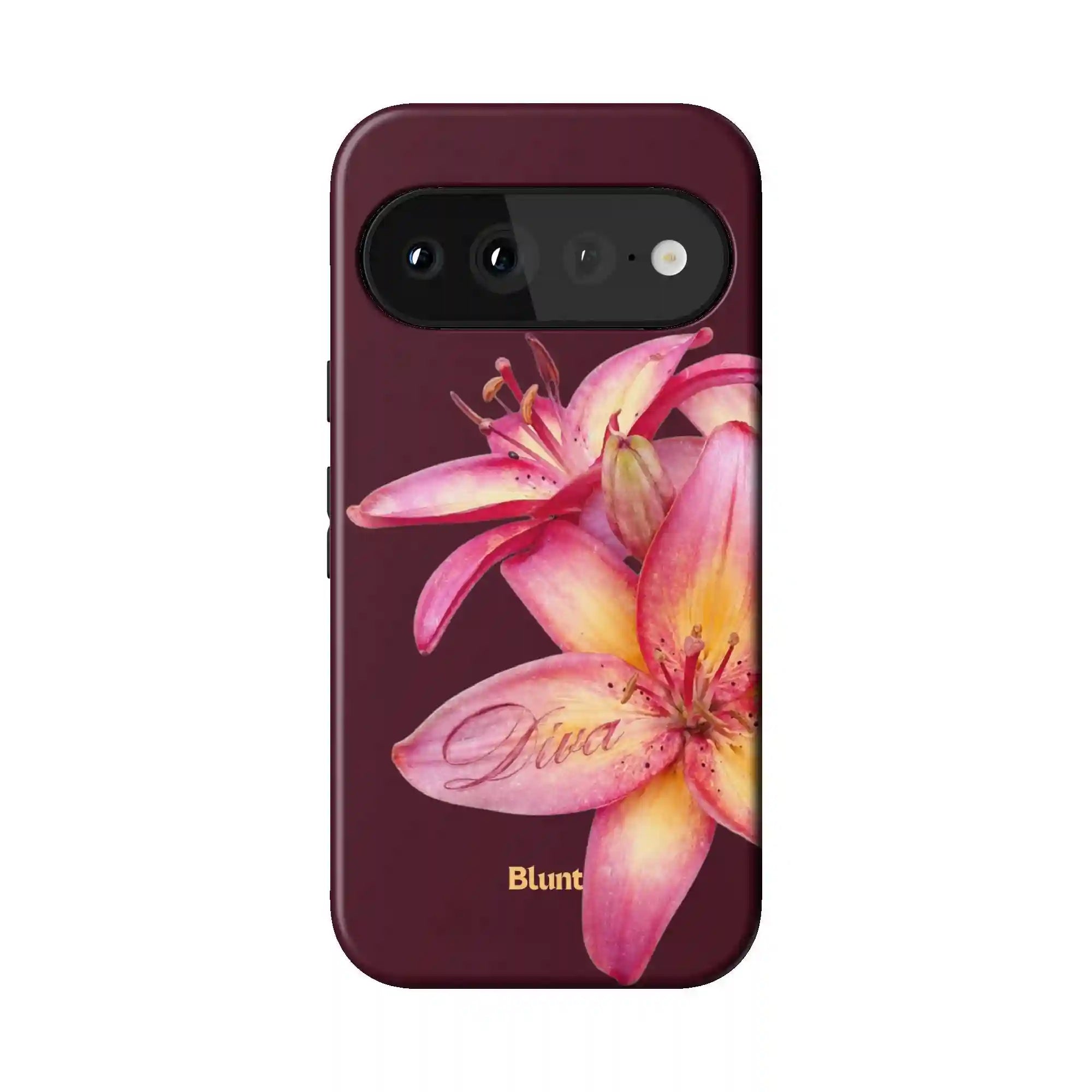 bluntcasesus.it.com