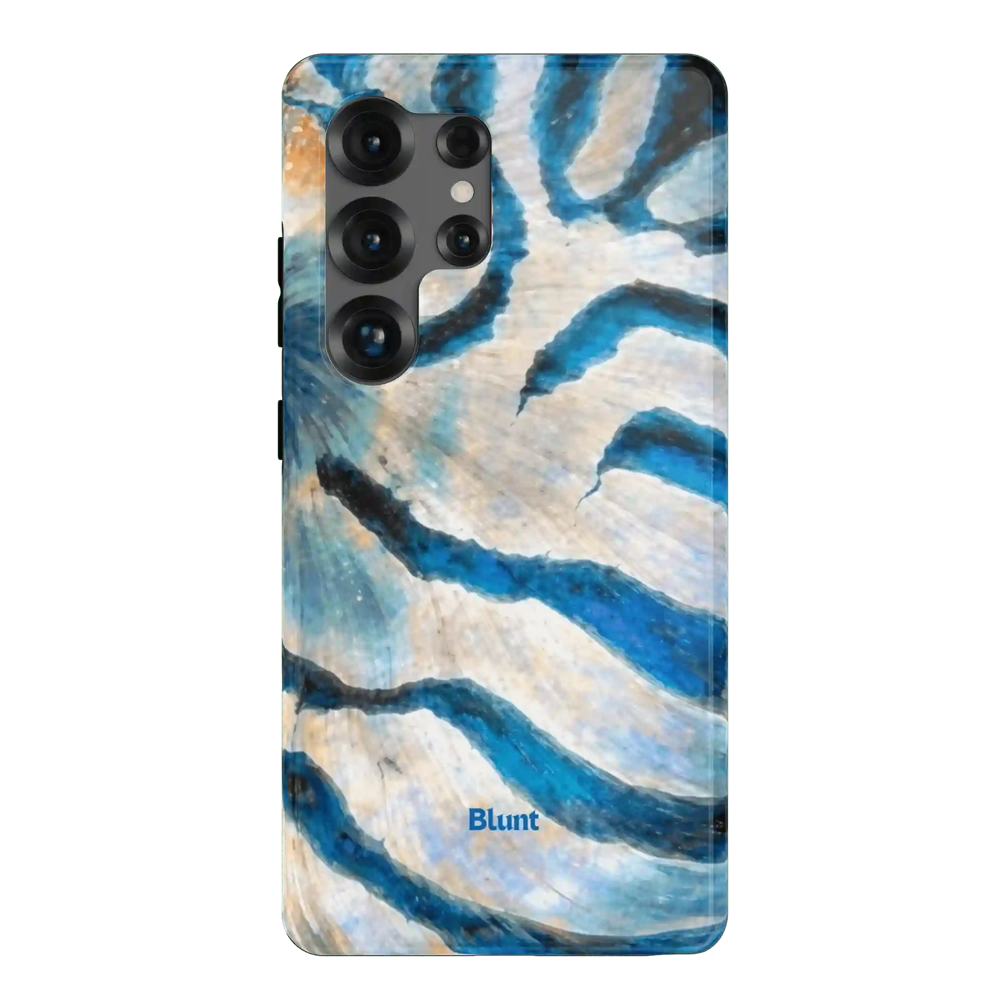 bluntcasesus.it.com