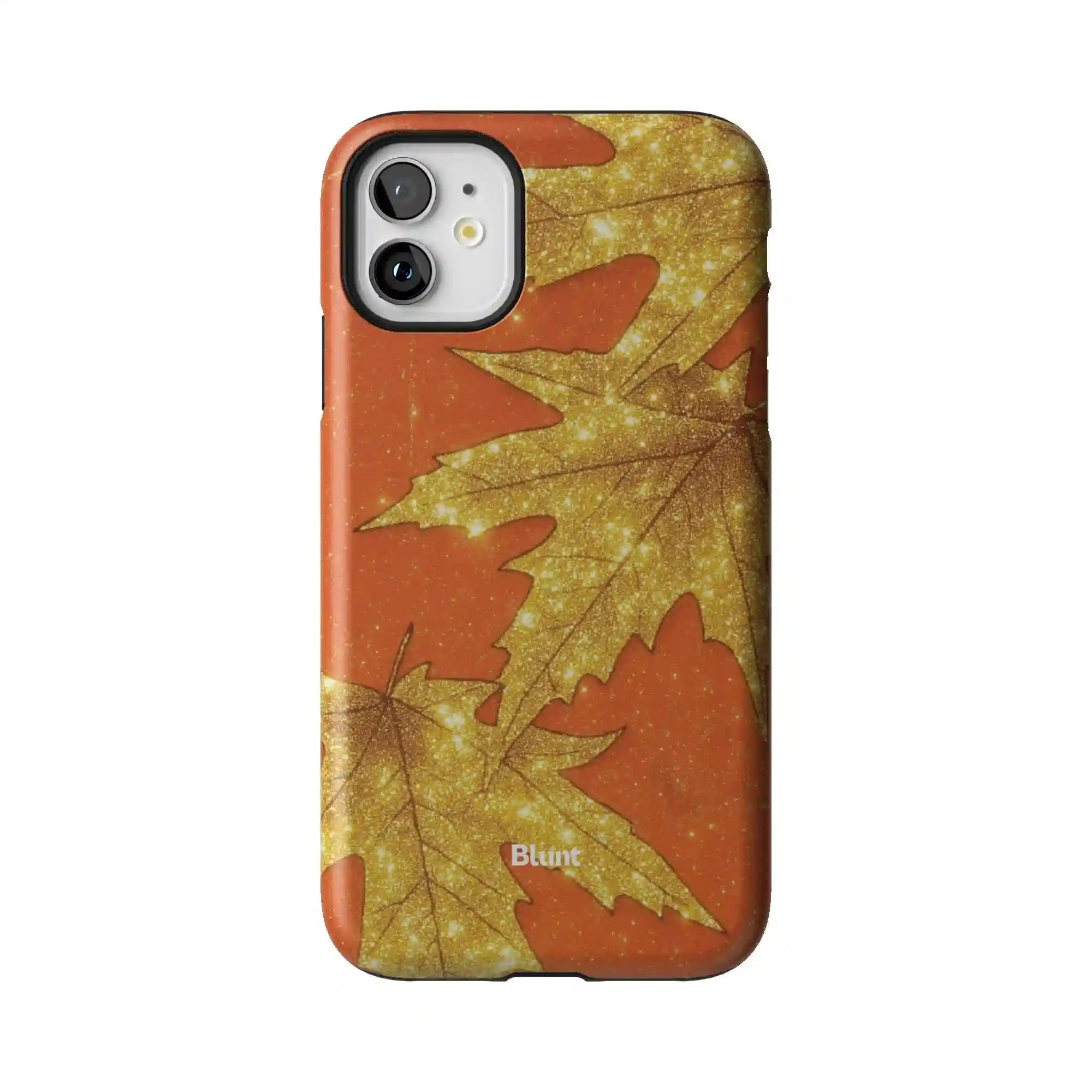 bluntcasesus.it.com