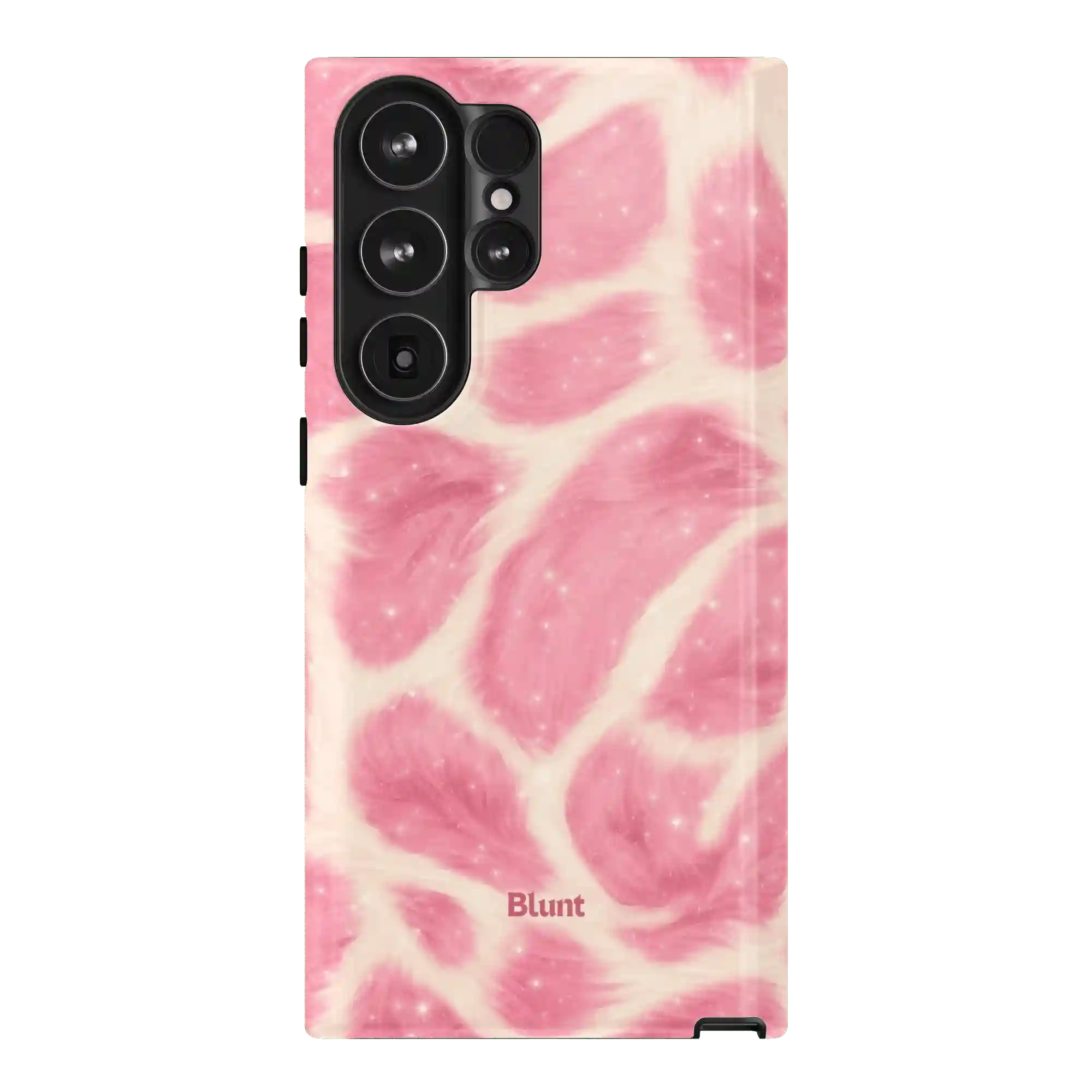bluntcasesus.it.com