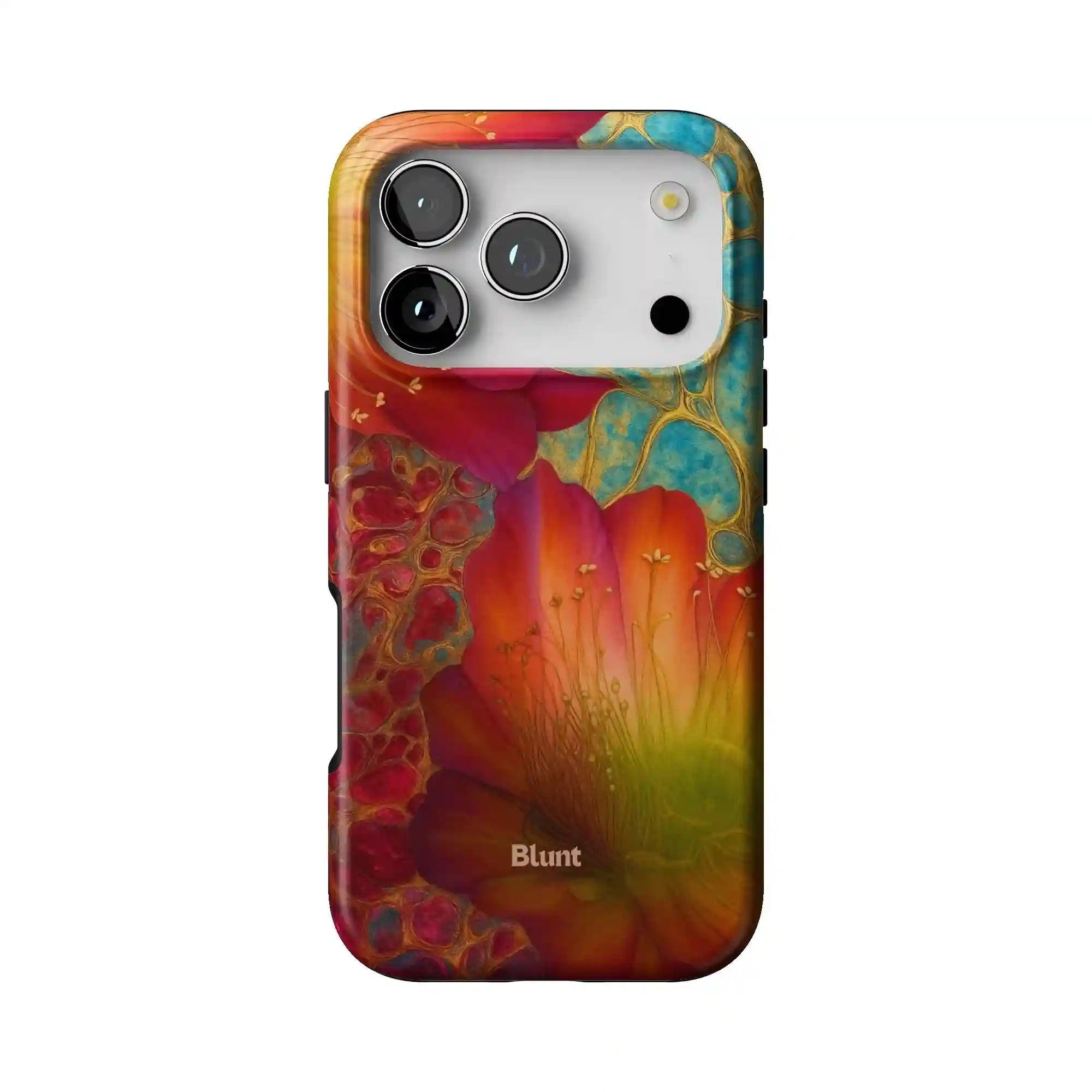 bluntcasesus.it.com