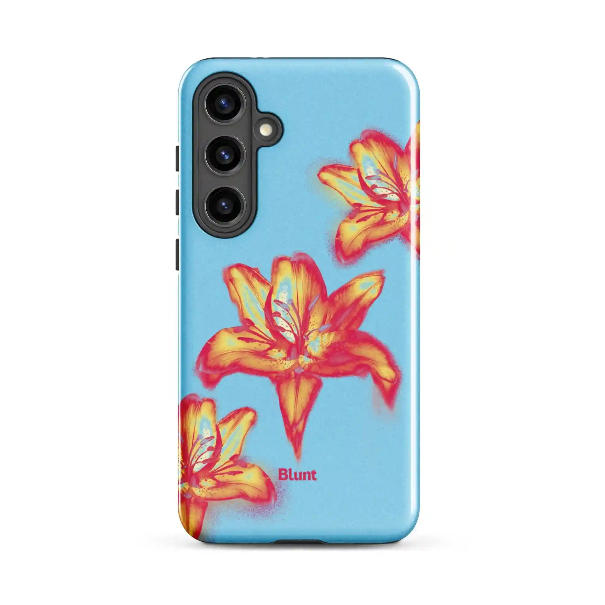 bluntcasesus.it.com