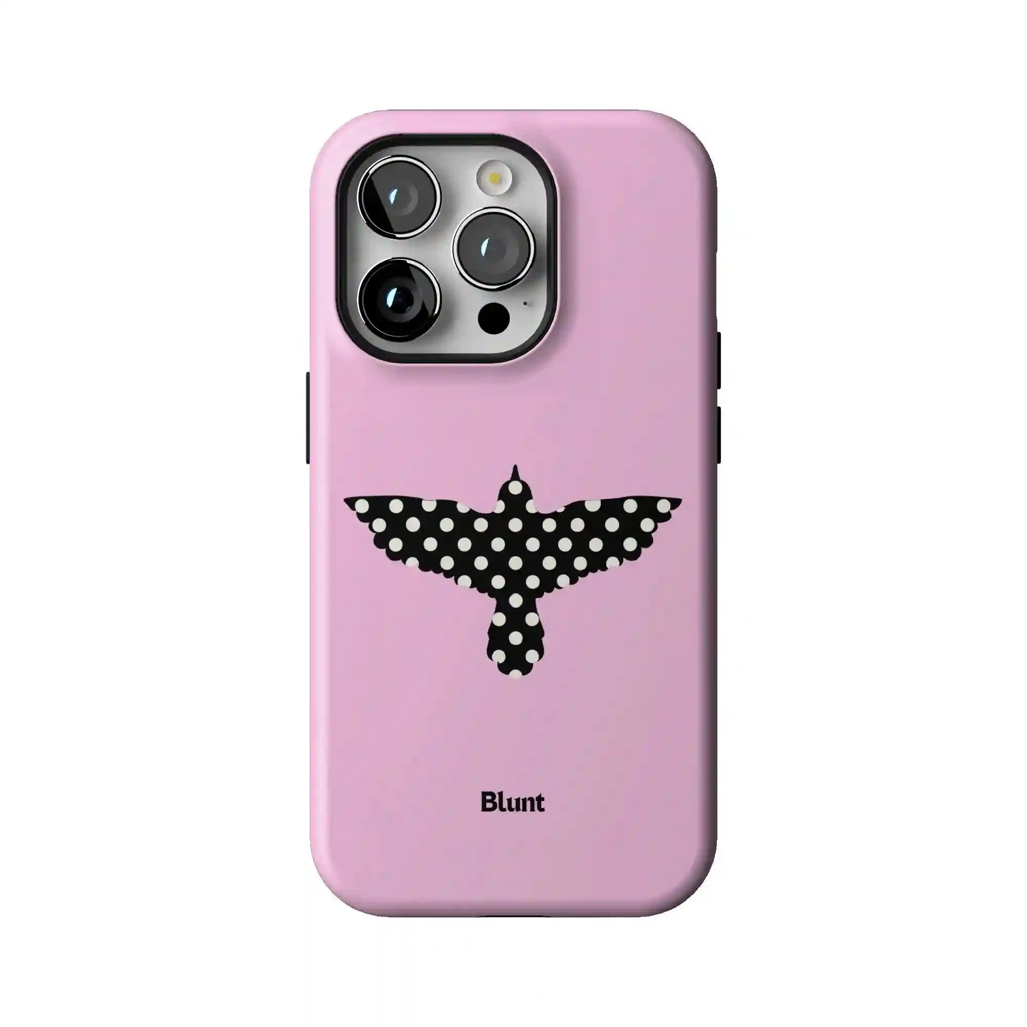 bluntcasesus.it.com