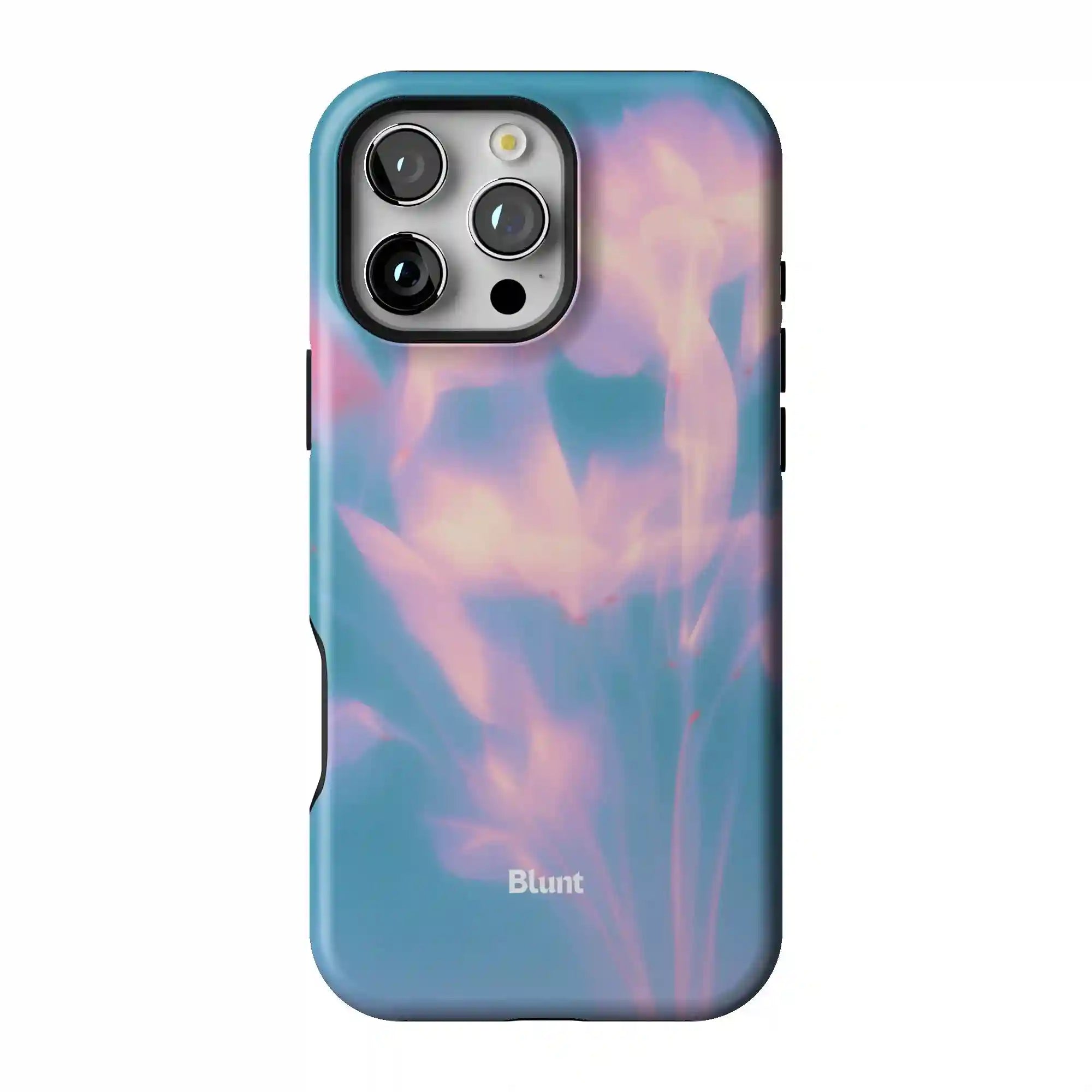 bluntcasesus.it.com