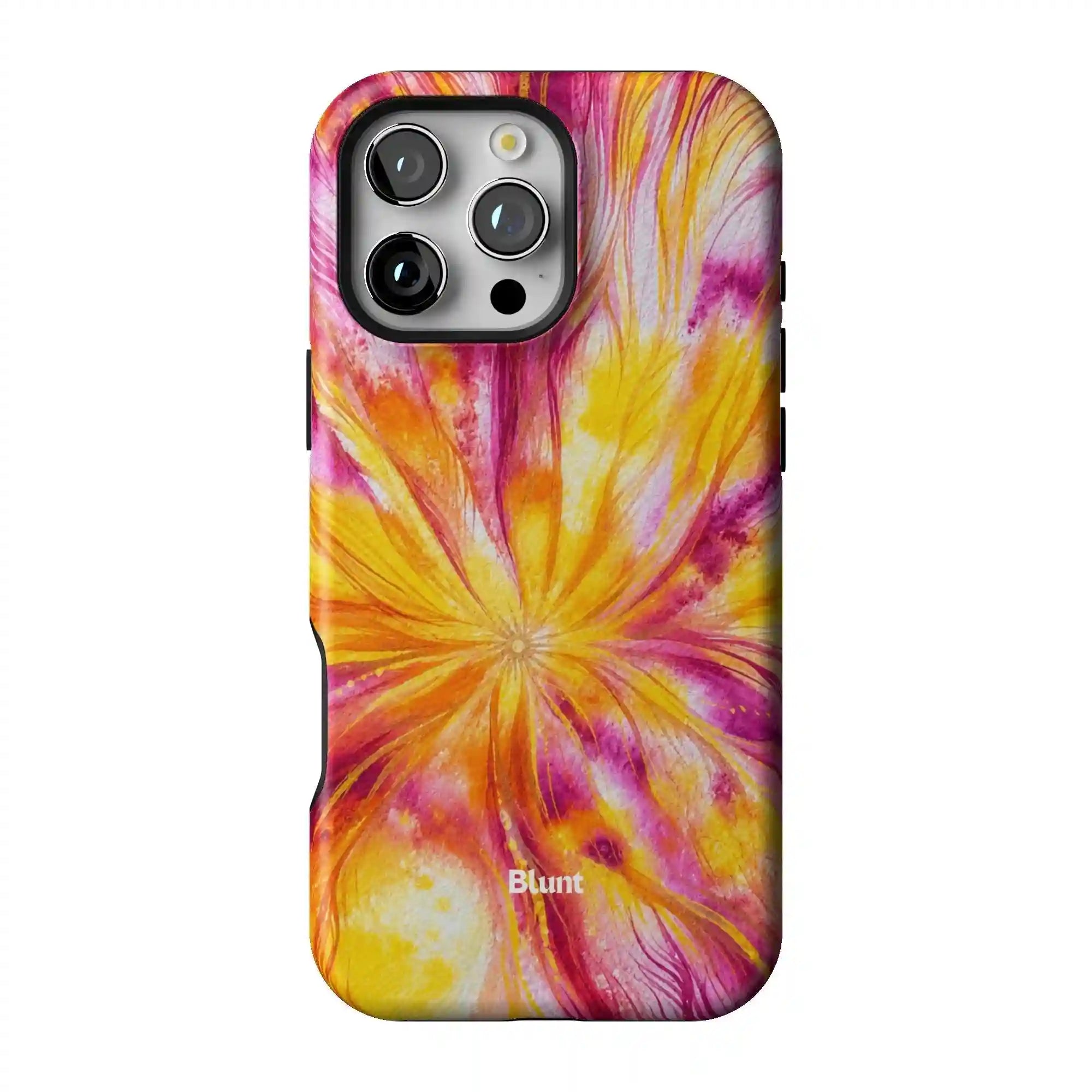 bluntcasesus.it.com